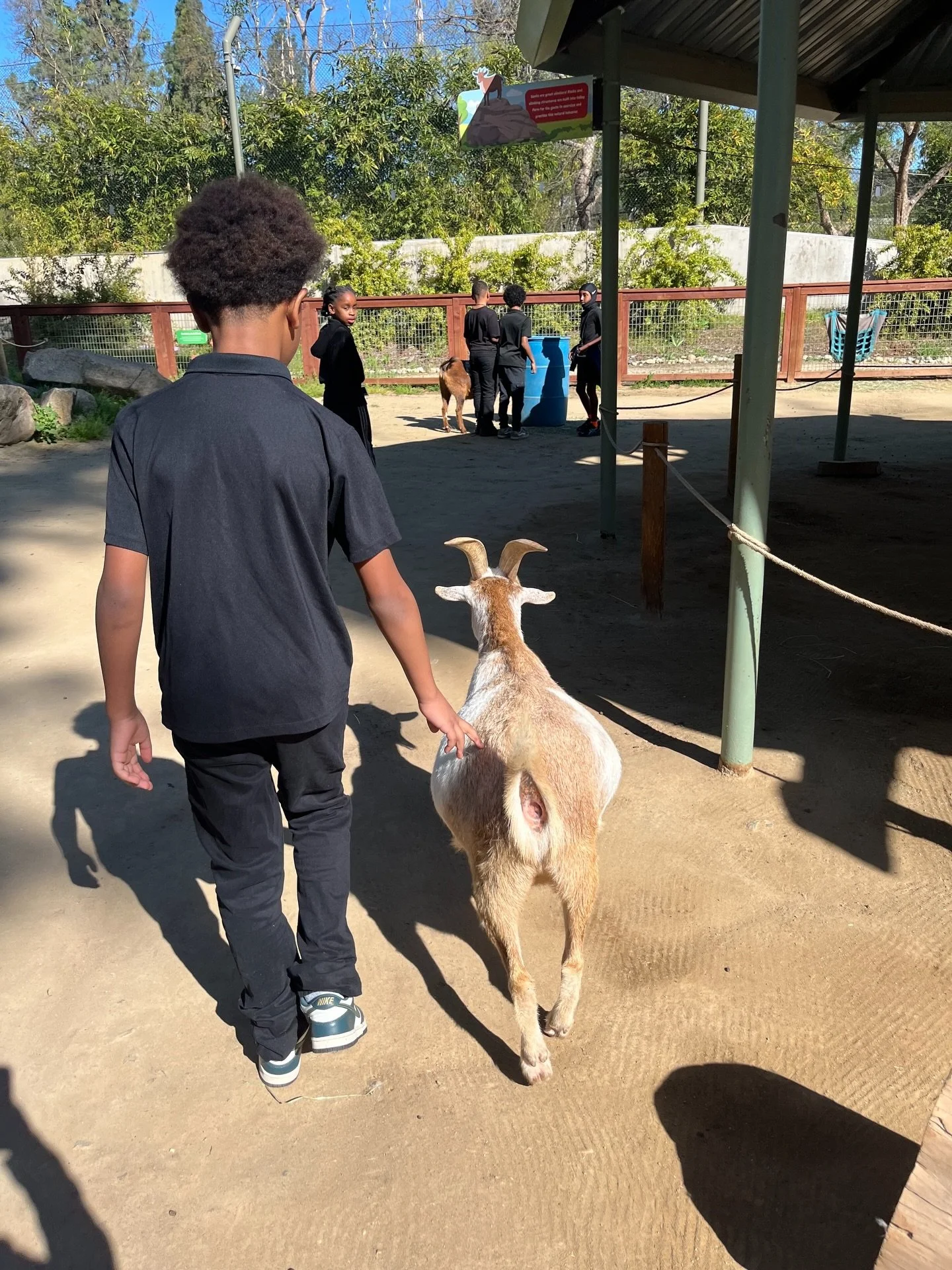 Day 2 of Zoo Immersion Week, and our 4th graders at Golden Charter Academy are GOAT-ing strong! 🐐✨

Today was all about goats &mdash; observing their behaviors, studying their adaptations, and learning how these incredible animals survive and thrive