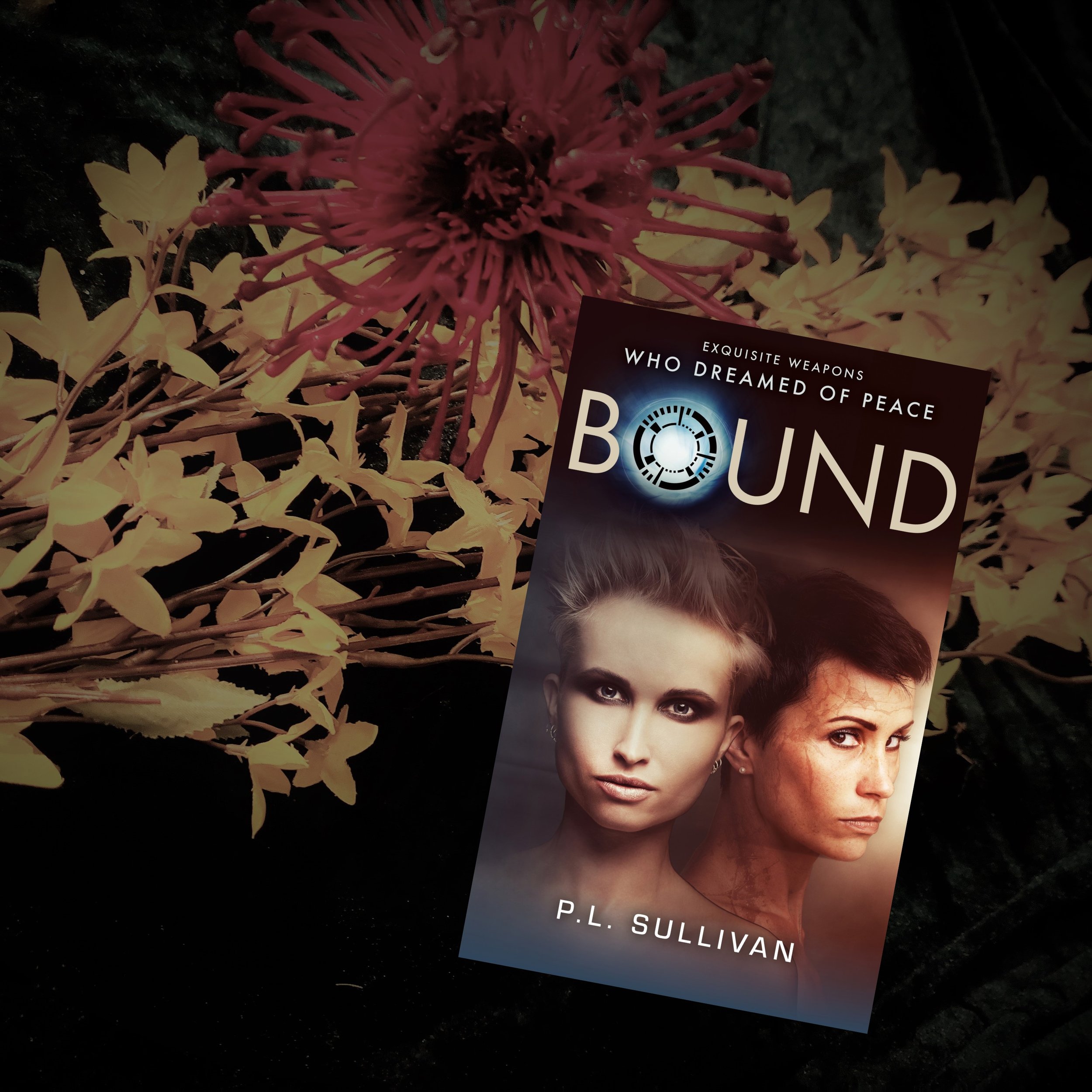 Heather’s Bookshelf: Bound