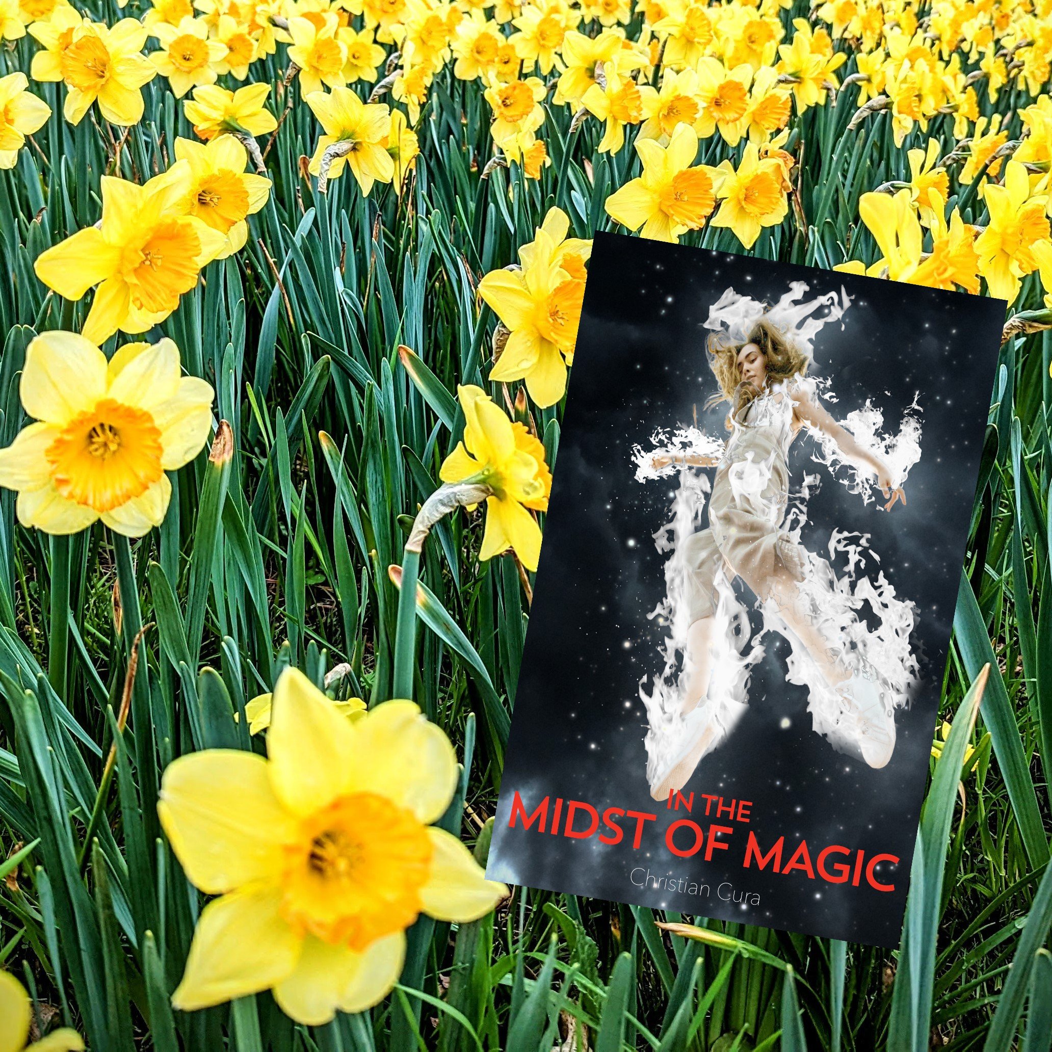 Heather’s Bookshelf: In the Midst of Magic