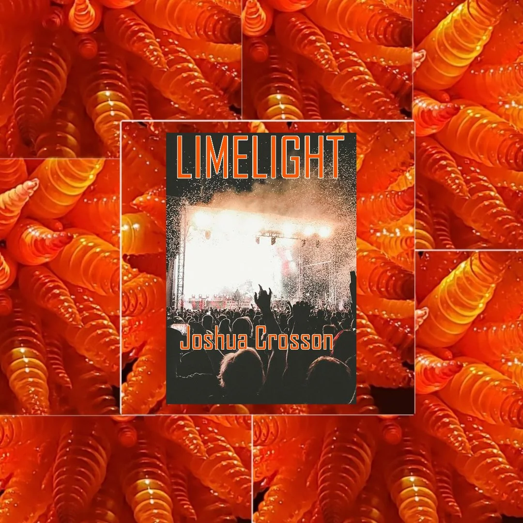 Heather’s Bookshelf: Limelight