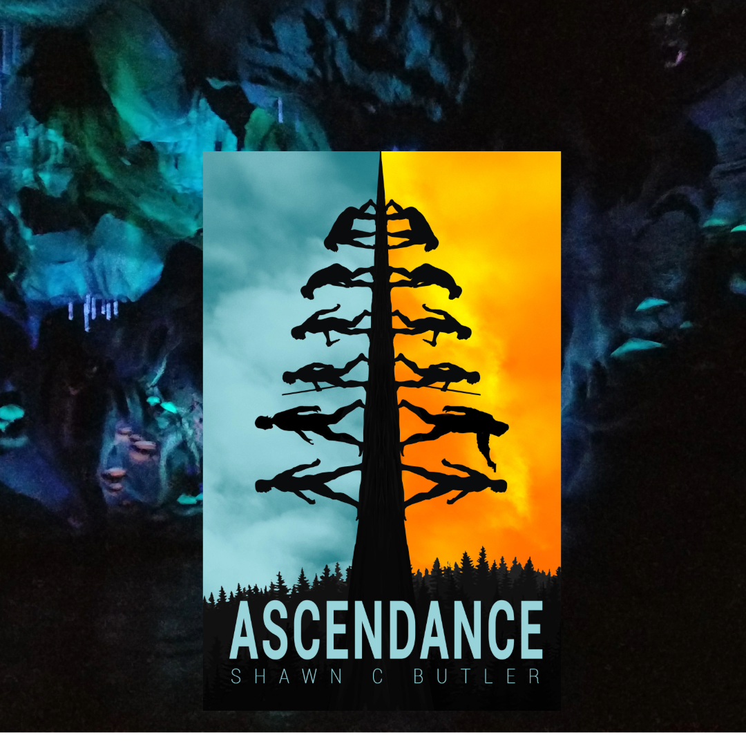 Heather’s Bookshelf: Ascendance