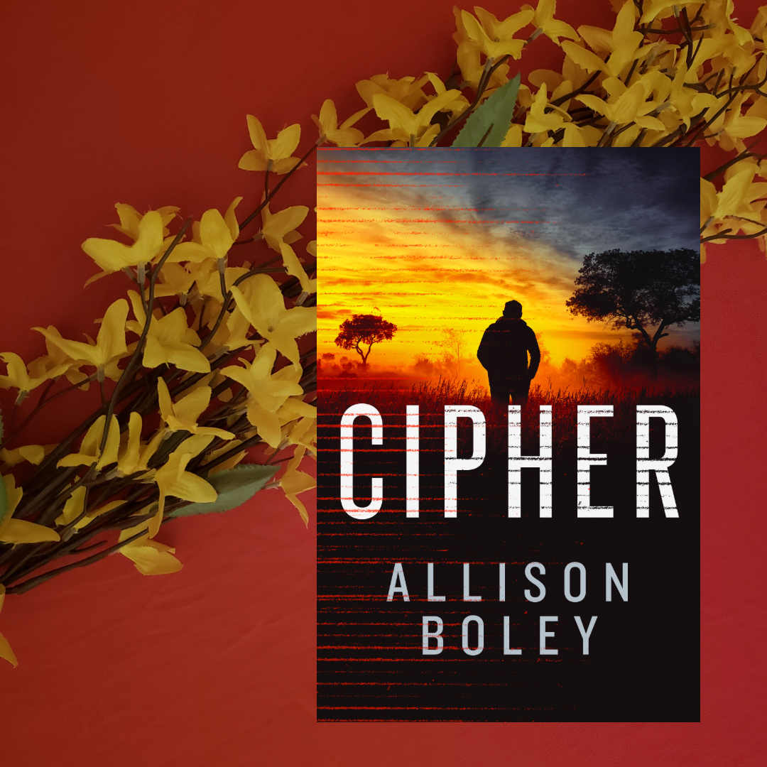 Heather’s Bookshelf: Cipher