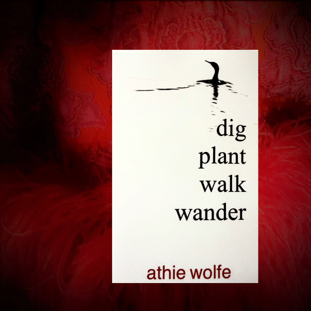 Heather’s Bookshelf: Dig Plant Walk Wander