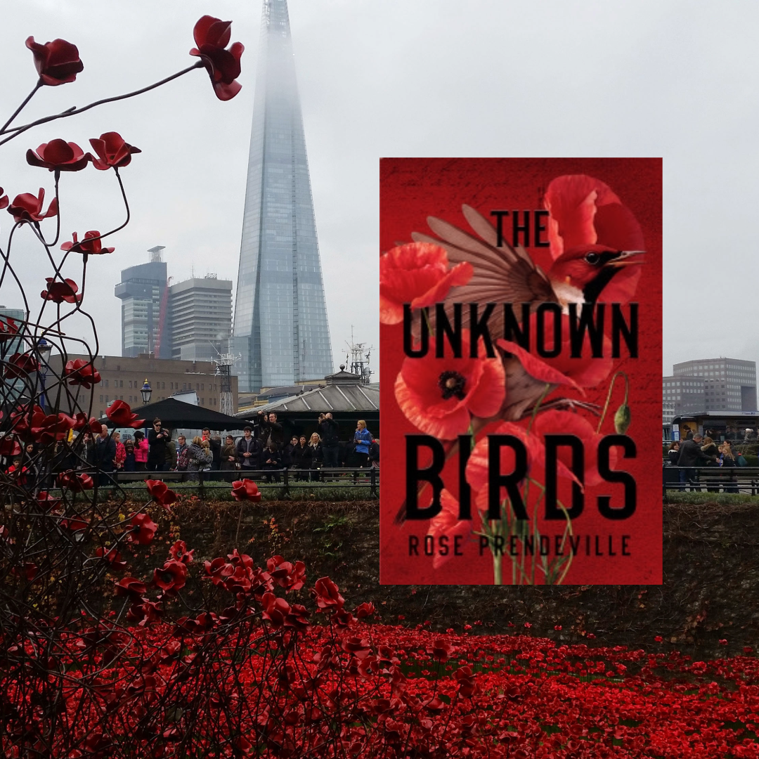 Heather’s Bookshelf: The Unknown Birds