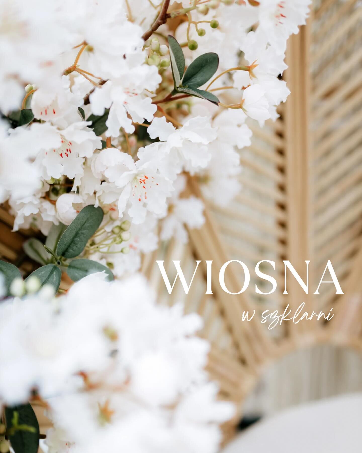 Uwielbiam ten czas 🧡 Przyroda powoli budzi się do życia, a ja z radością witam wczesną wiosnę ☺️🌱 

Koniecznie dajcie znać w komentarzu, jak podoba Wam się kwiecista aranżacja szklarni! ☺️ Niech ten wiosenny widok doda Wam energii 🧡🌼

Zostały ost