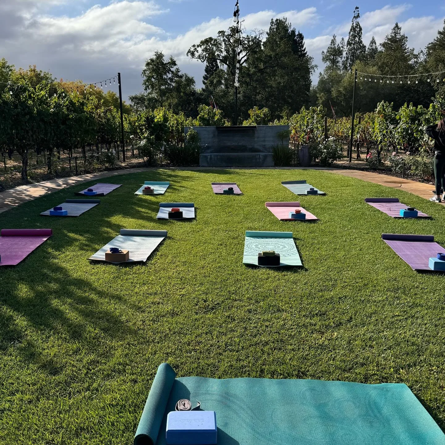 Outdoor yoga this morning for a private corporate group! Gorgeous location as always, @theestateyountville 🤩