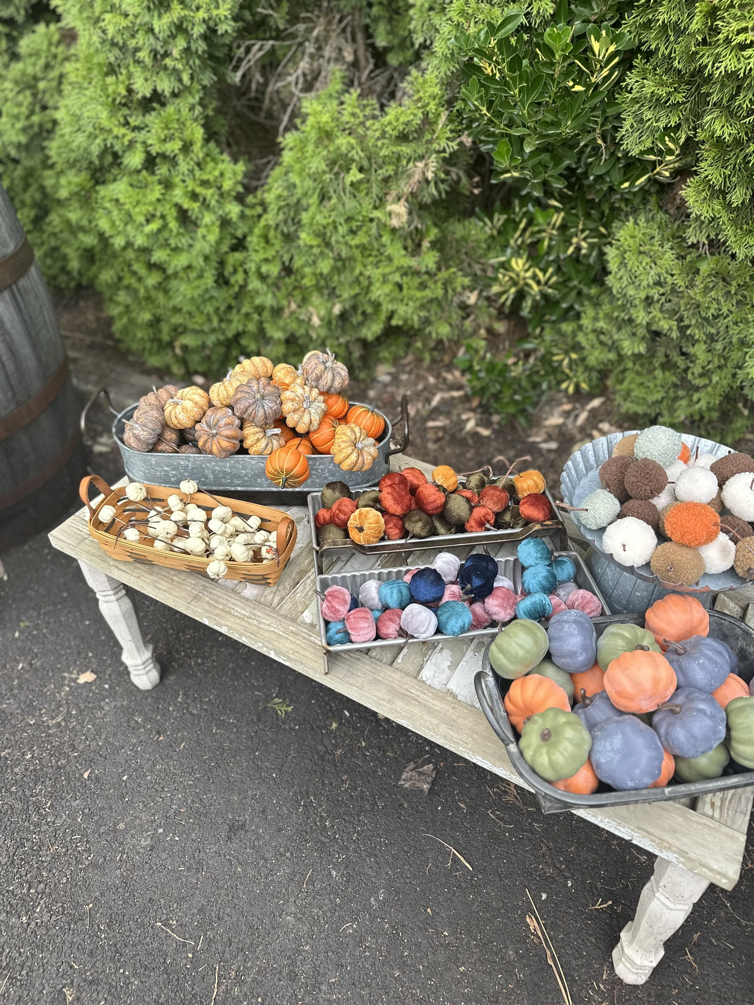 IMG_6184.jpeg