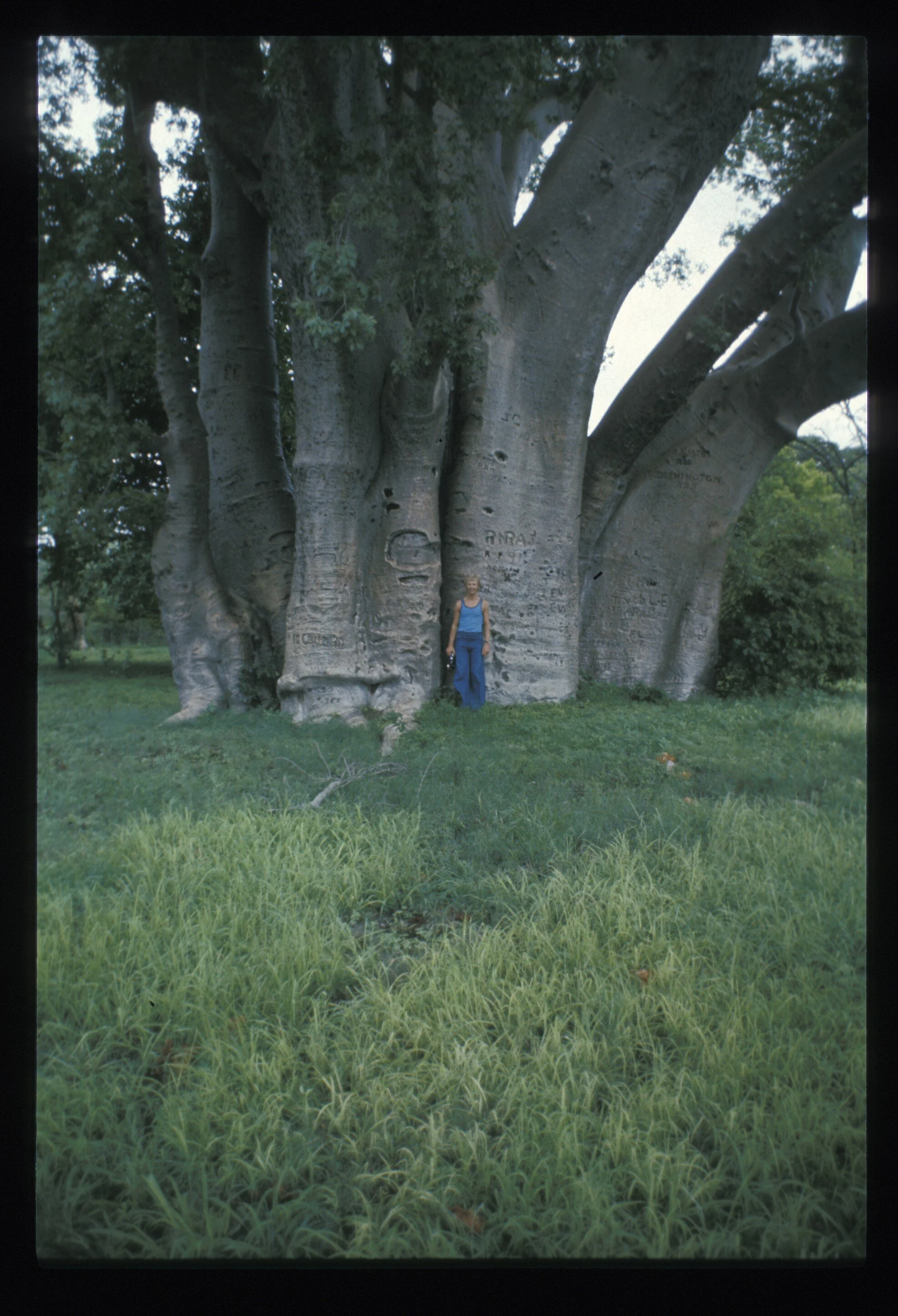 Jeff at the Baobab Tree