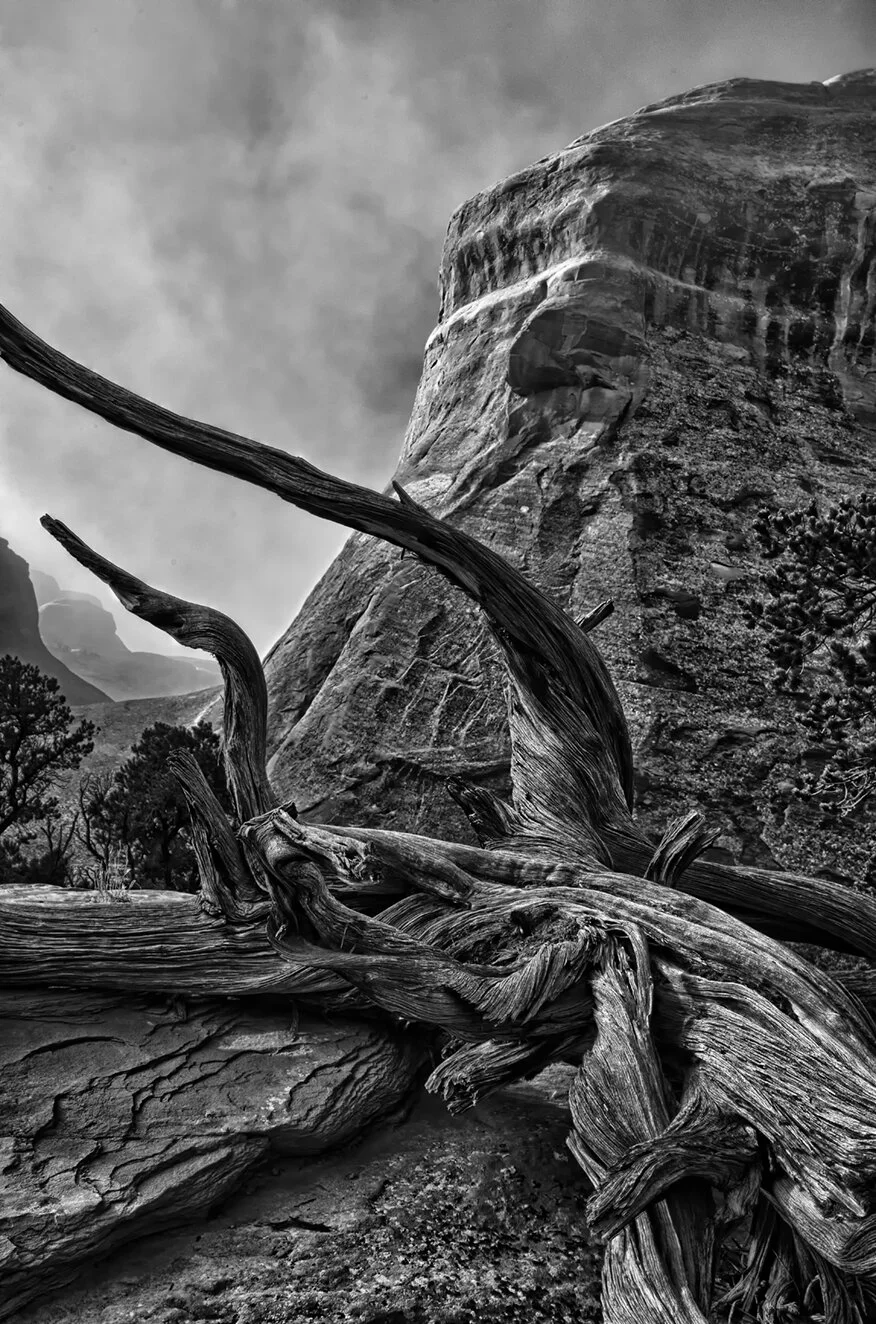 Arches National Park