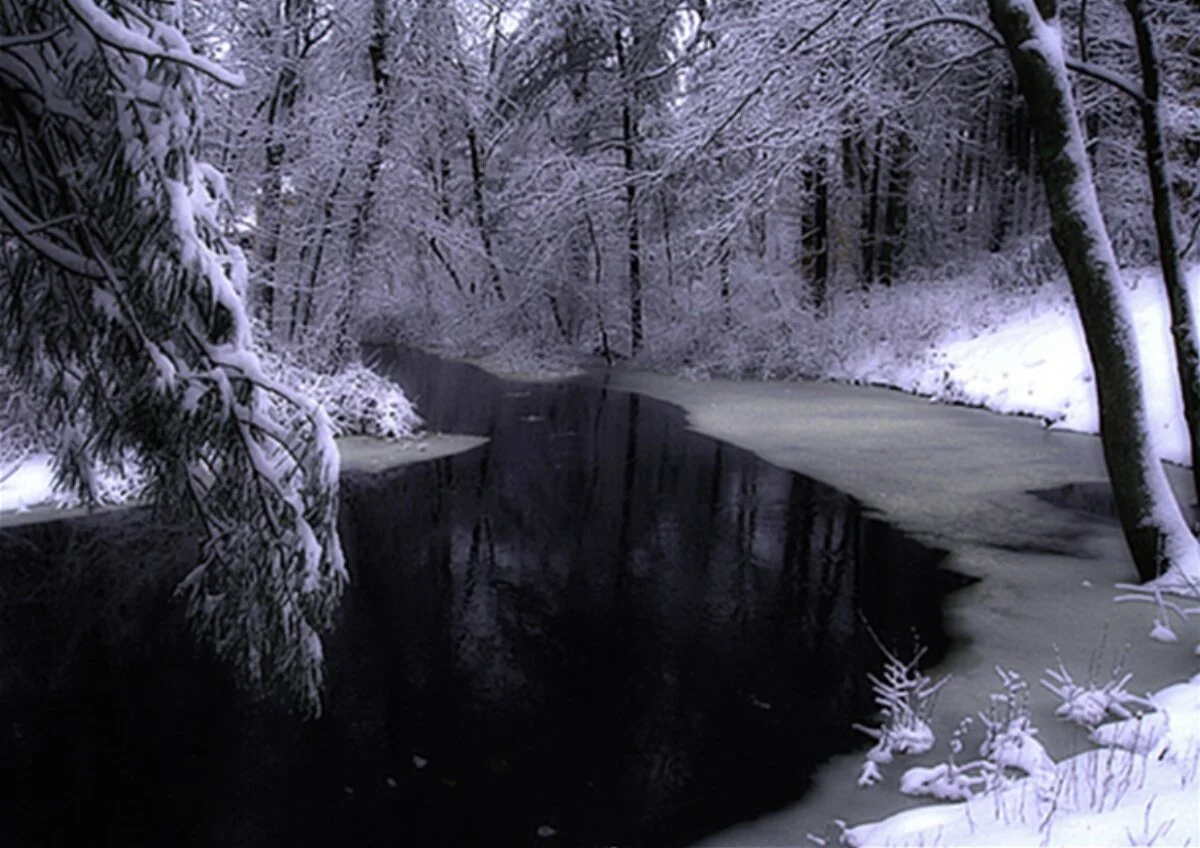 Bogastow Brook, Millis, Ma