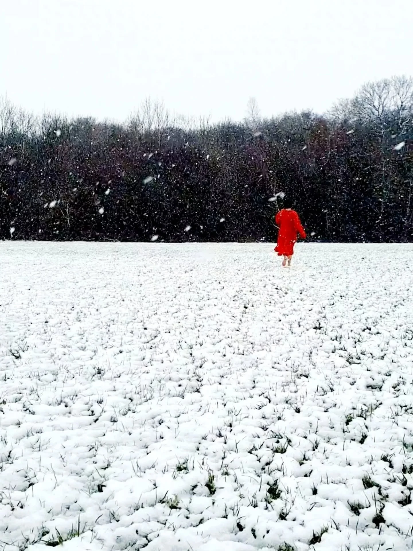 Today we celebrate International Women&rsquo;s Day &mdash; a day to honour the strength, courage, and resilience of women everywhere. 💜

While today is a celebration, it&rsquo;s also a moment of reflection. I find myself deeply concerned about the s