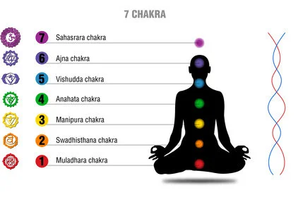Introducing the Chakras: The 7 Basic Chakra System