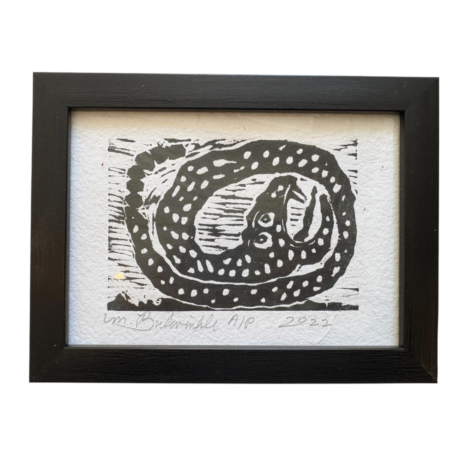 Mark Bulwinkle - Confused Rattler