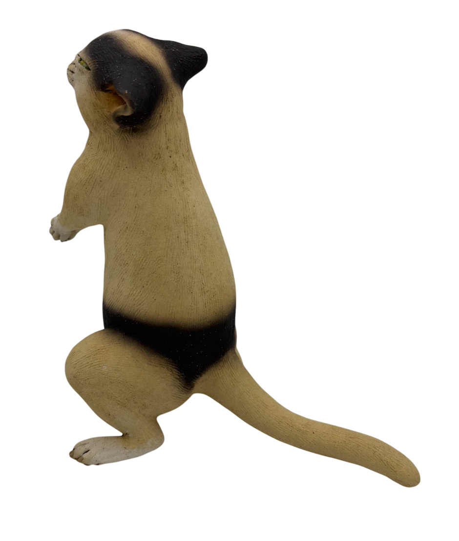 Sumo Kitty.4-Photoroom.png