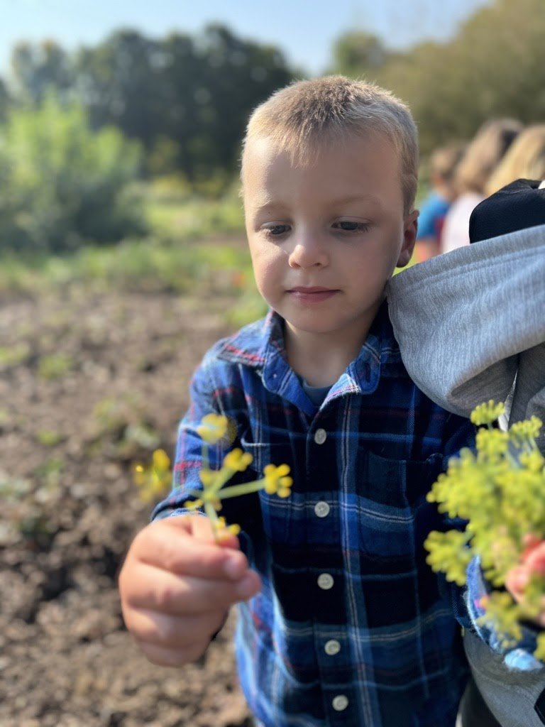 Garden Community Day