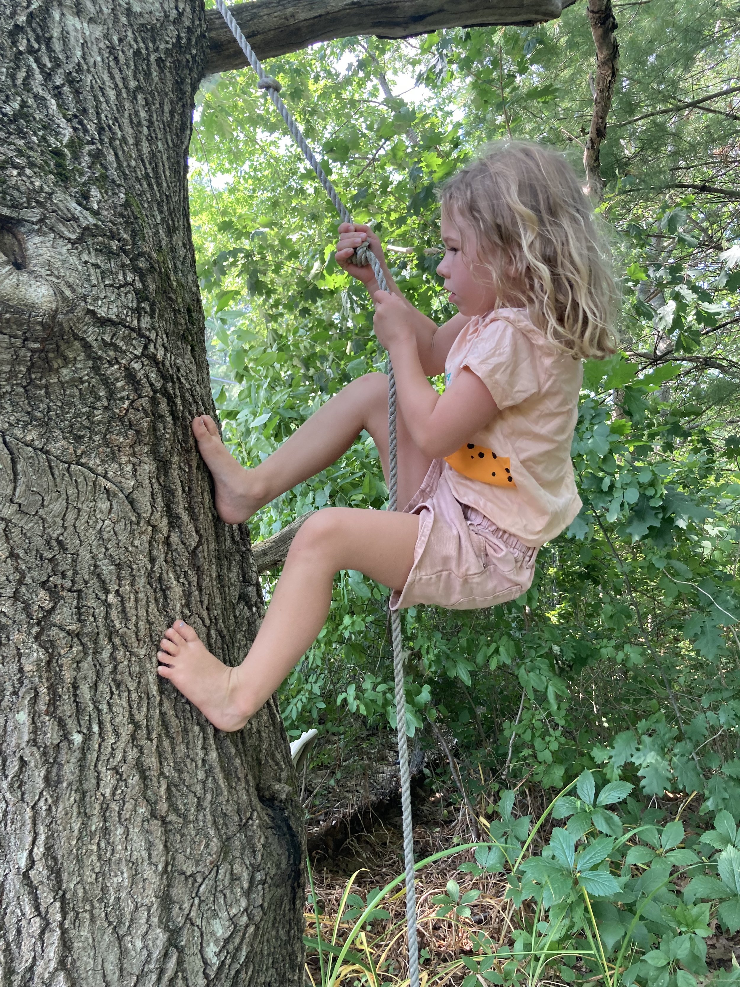 Copy of D450F64E-D49D-4FE1-B7C2-97BEB08D0473.jpg