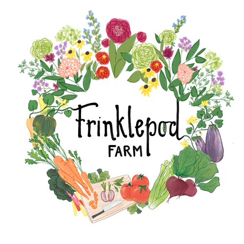 Frinklepod 500x.png