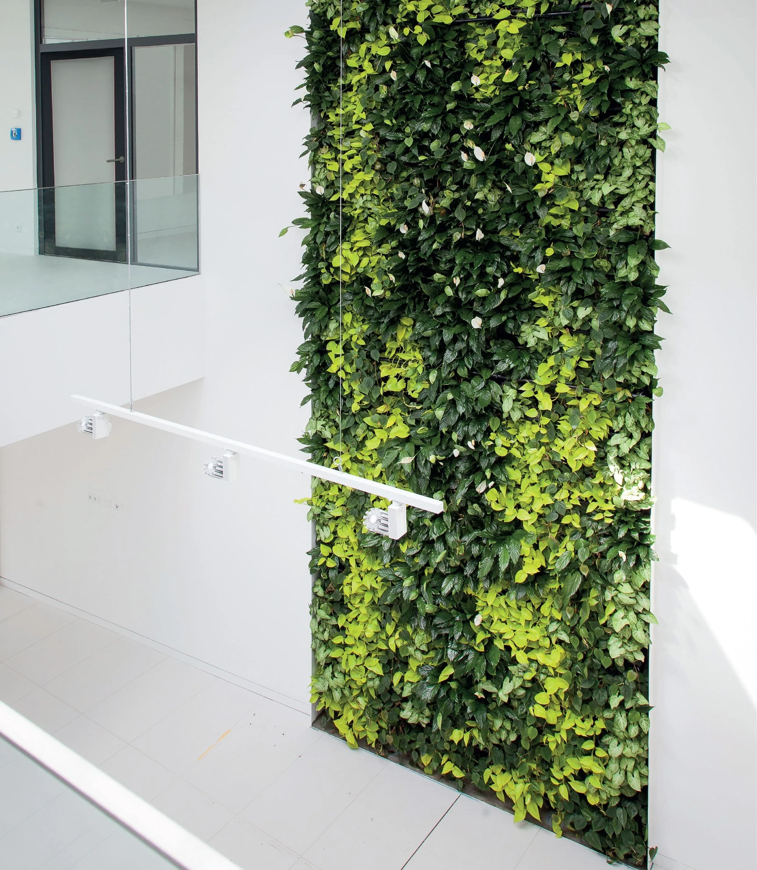 living wall.jpg