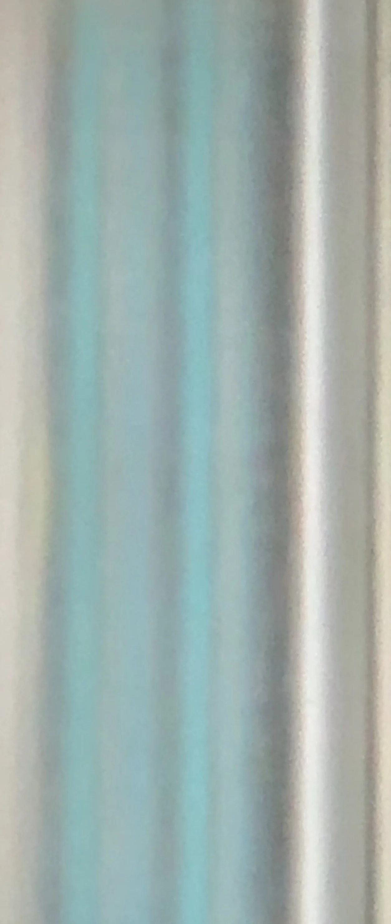 IMG_2298.jpeg