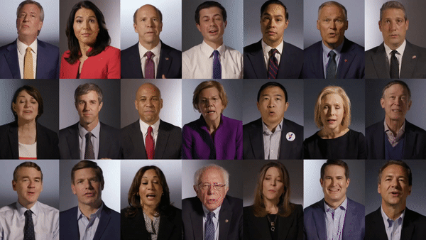 The 2020 Democratic Field