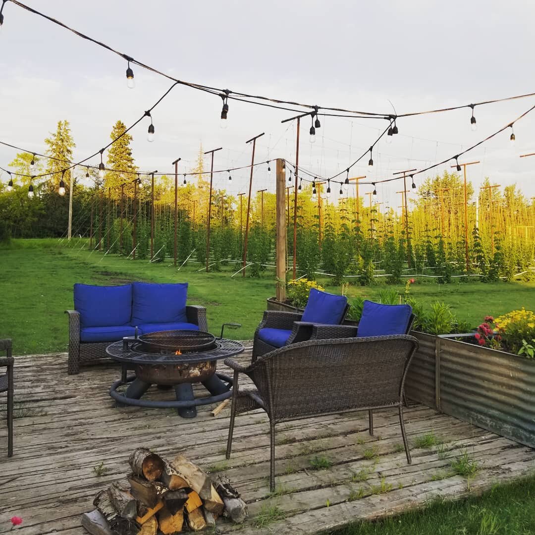Beautiful evening to watch beer plants grow. We have had a few inquiries about hosting weddings and other events here at Hard Hels. If anyone has any questions about using this amazballs location please just shoot us a email.
Email in contact info.
.