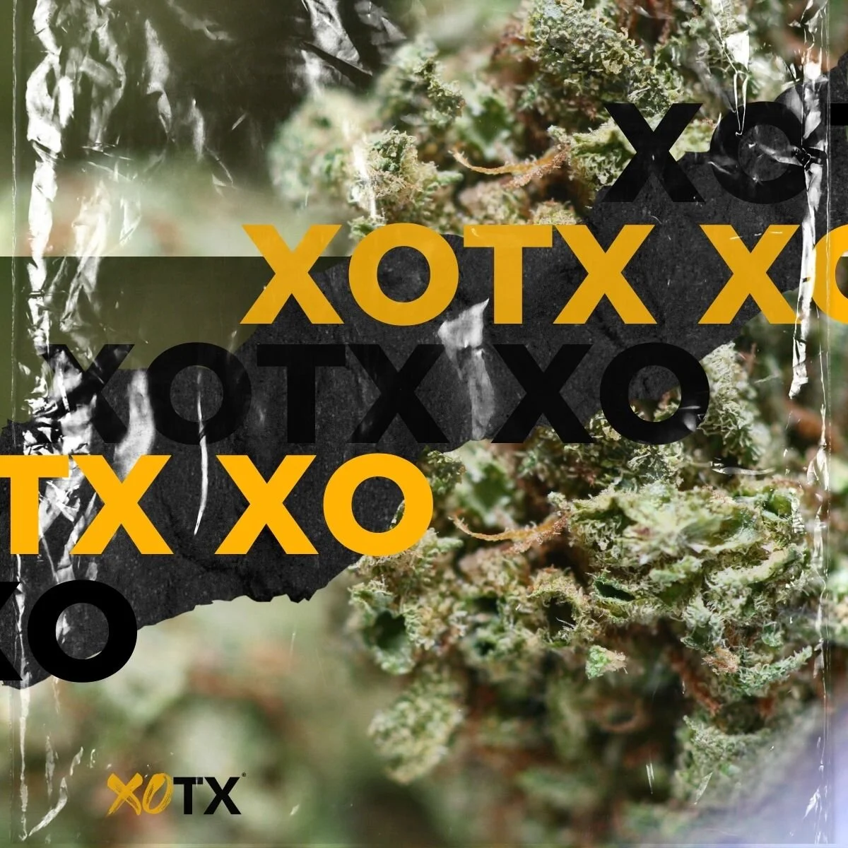 Find us on Instagram @officialxotx