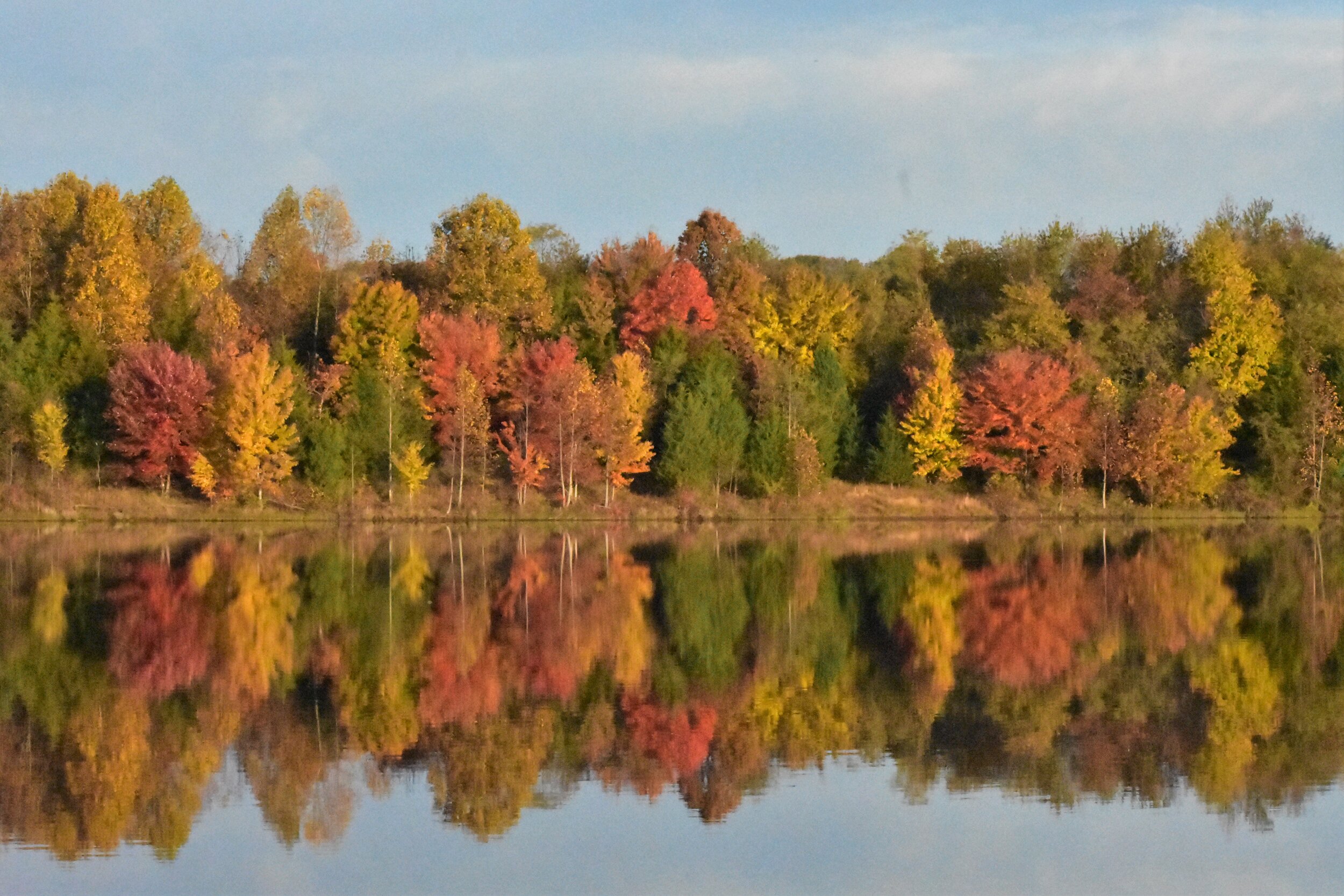 Lake view in fall