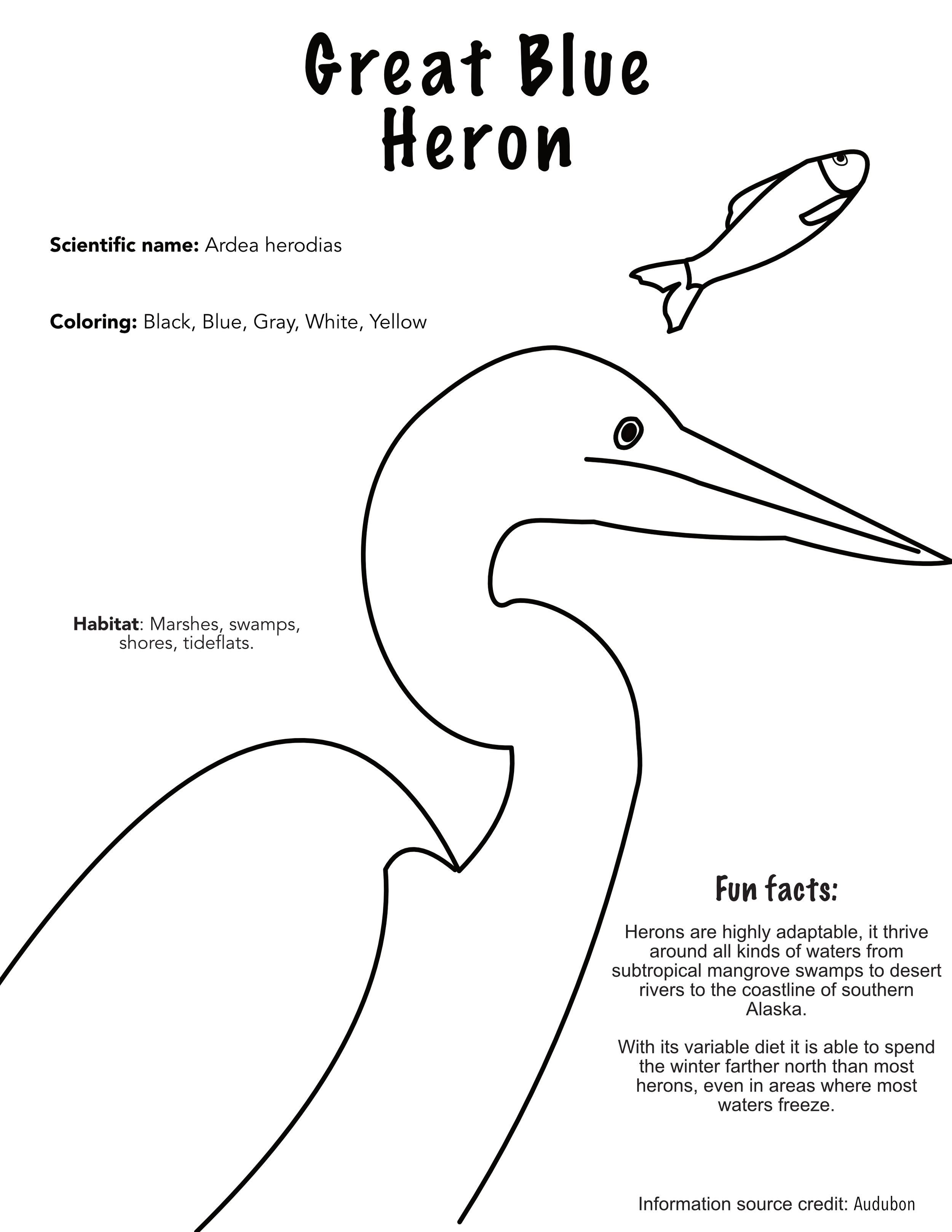 Coloring Page - Great Blue Heron.png