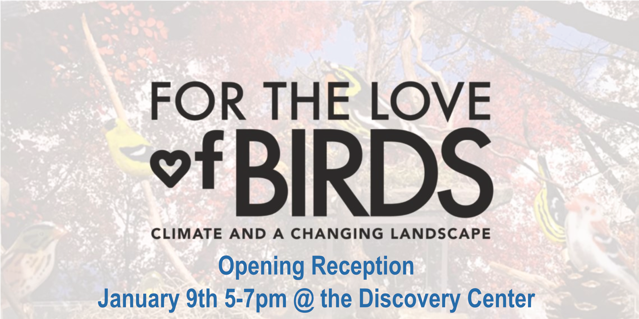 For the Love of Birds Opening Reception