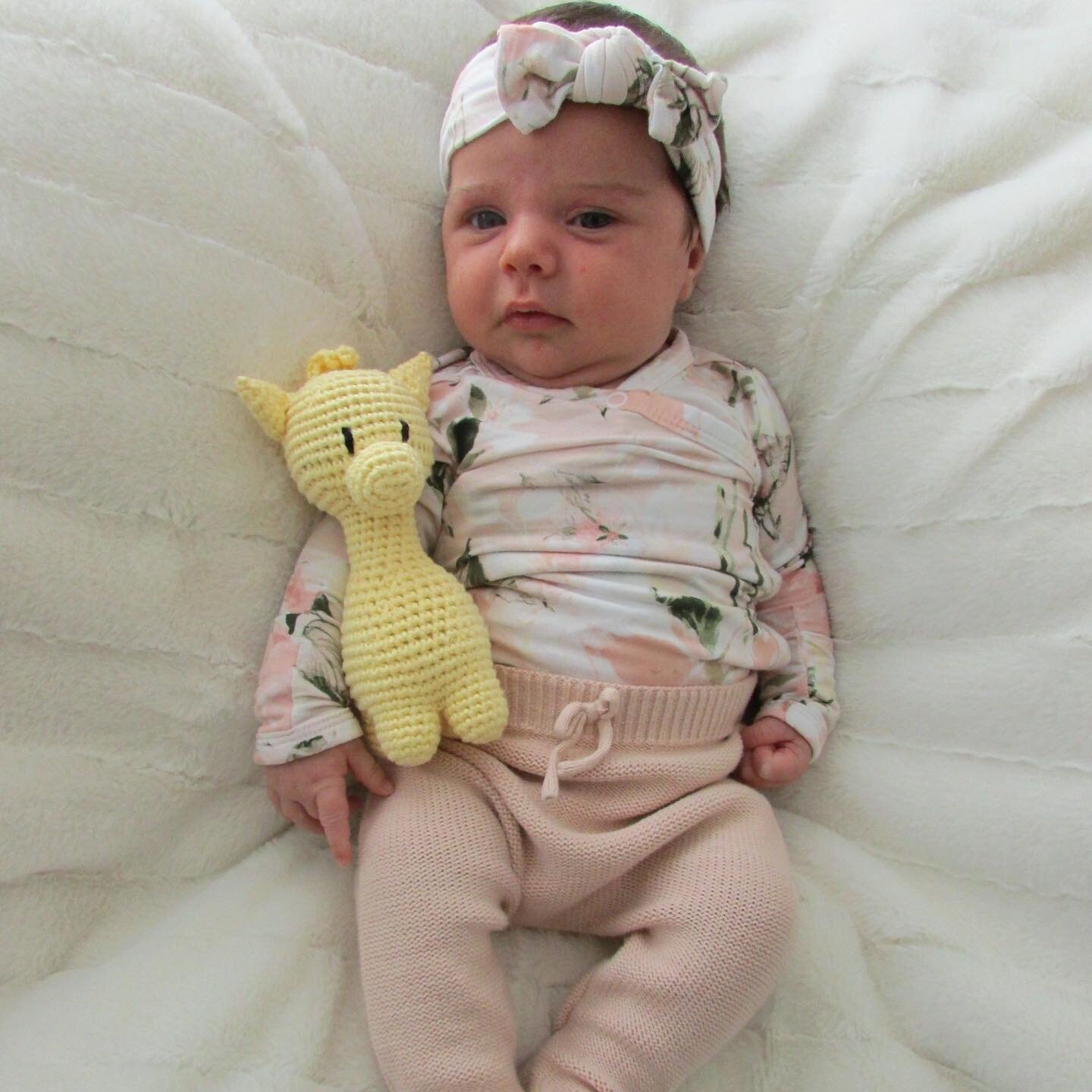 Little baby Grace sleeping with giraffe 🦒💕💟😴💋✨ &bull;
&bull;

#crochet #babygirl #newborn #madeincanada  #crochetofinstagram #supportlocal #stayhome #crochetgirlgang #knitting #crocheted #yarn #crocheter #instacrochet #croch #crochetdoll #croche