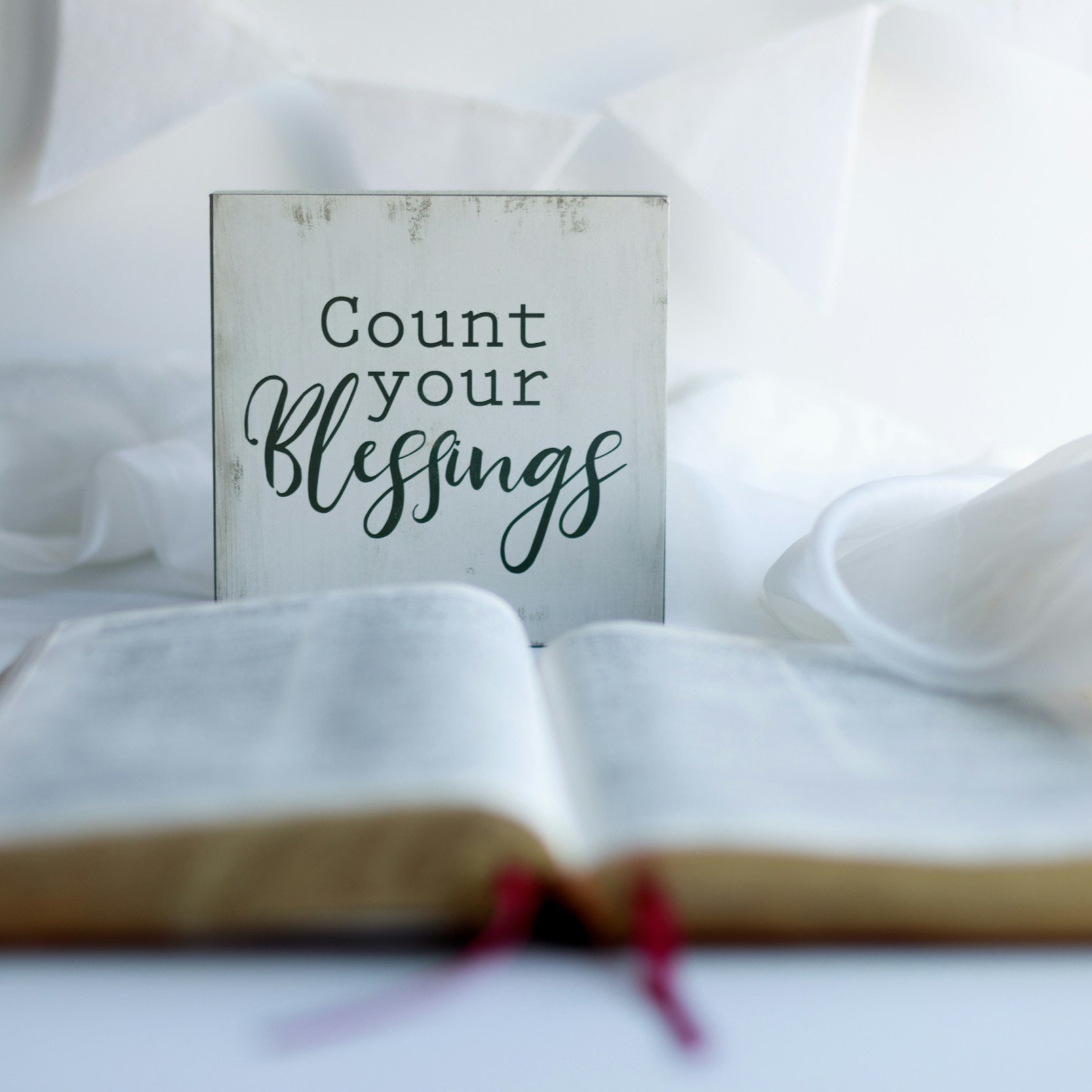 Love goes both ways Pt 17: Sins are covered