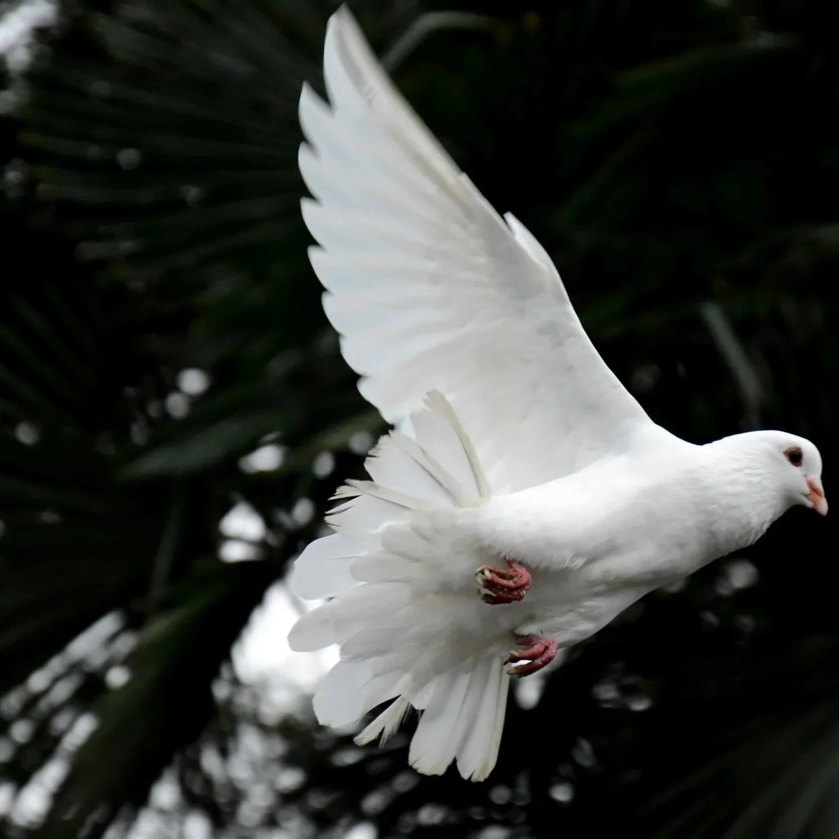 Why do we need salvation, Pt 4: Body, soul, and spirit