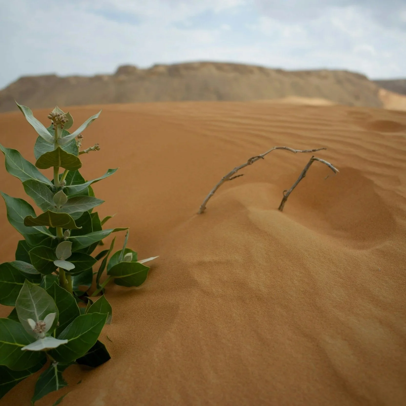 Abide in Christ Pt 7: Persevere in His teaching