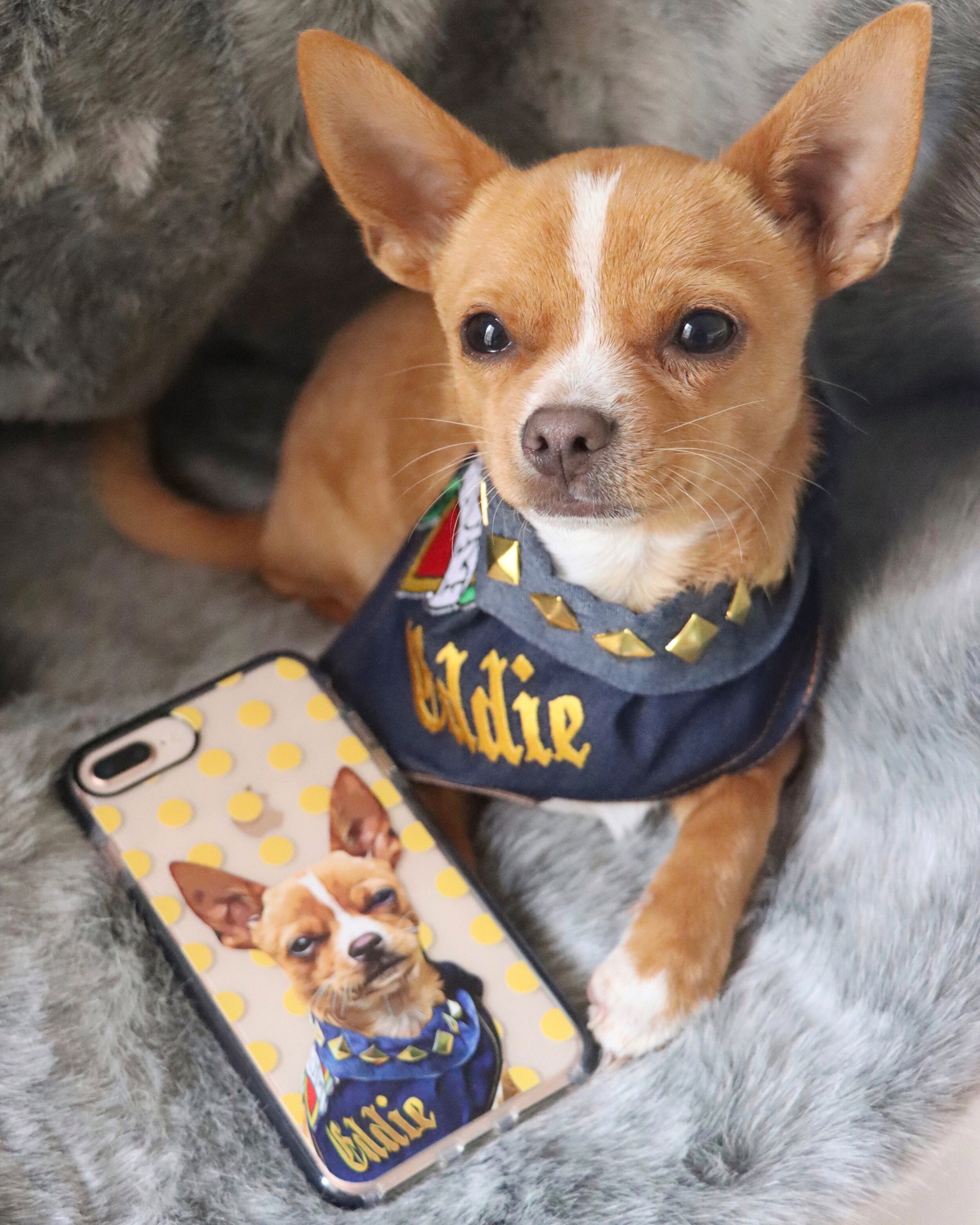 Custom Pet Phone Case