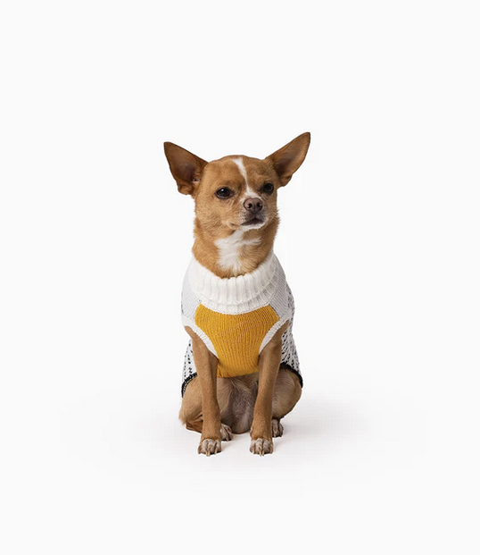 Mister Woof Model and brand partner