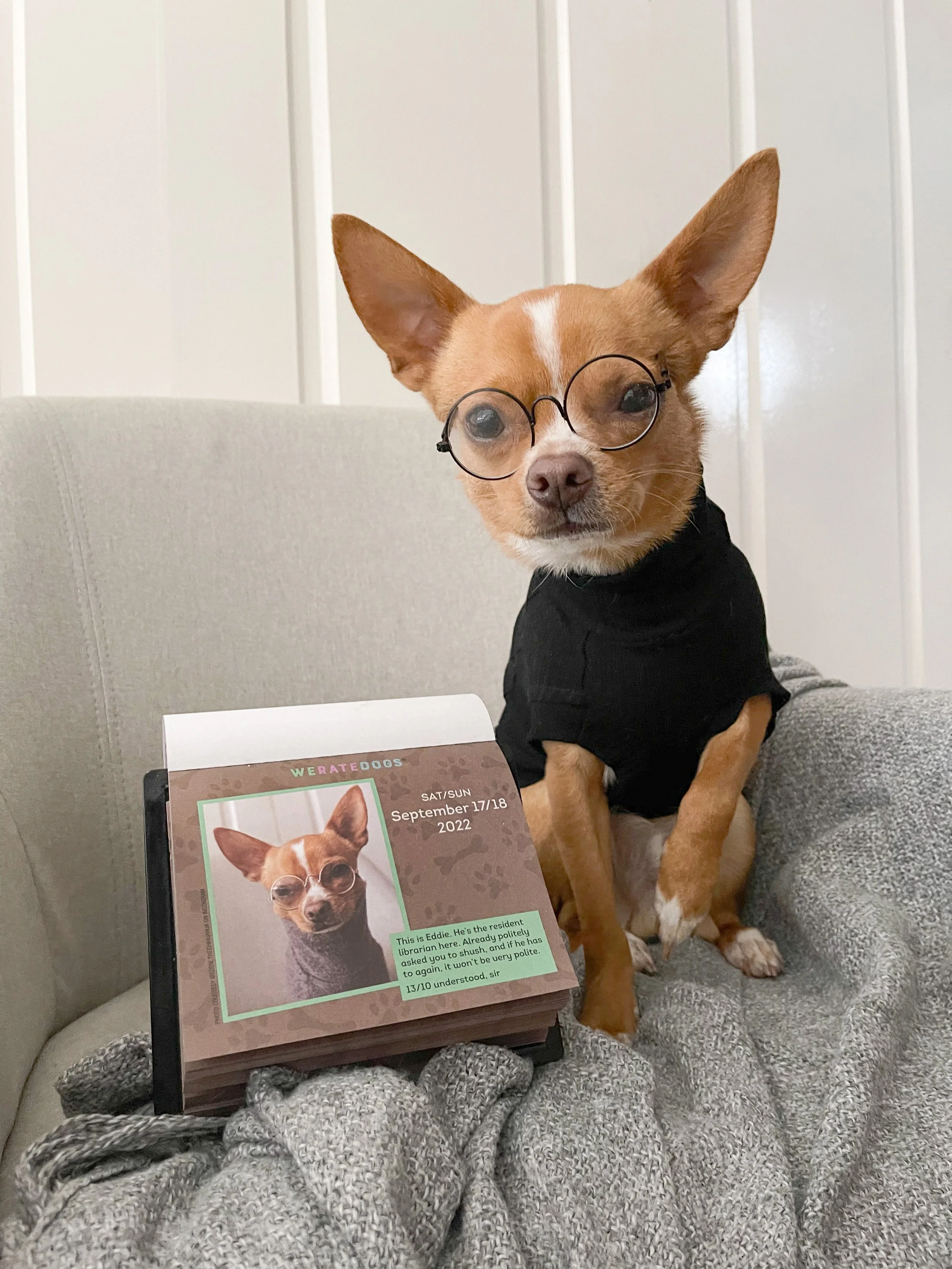 We Rate Dogs 2022 Calender