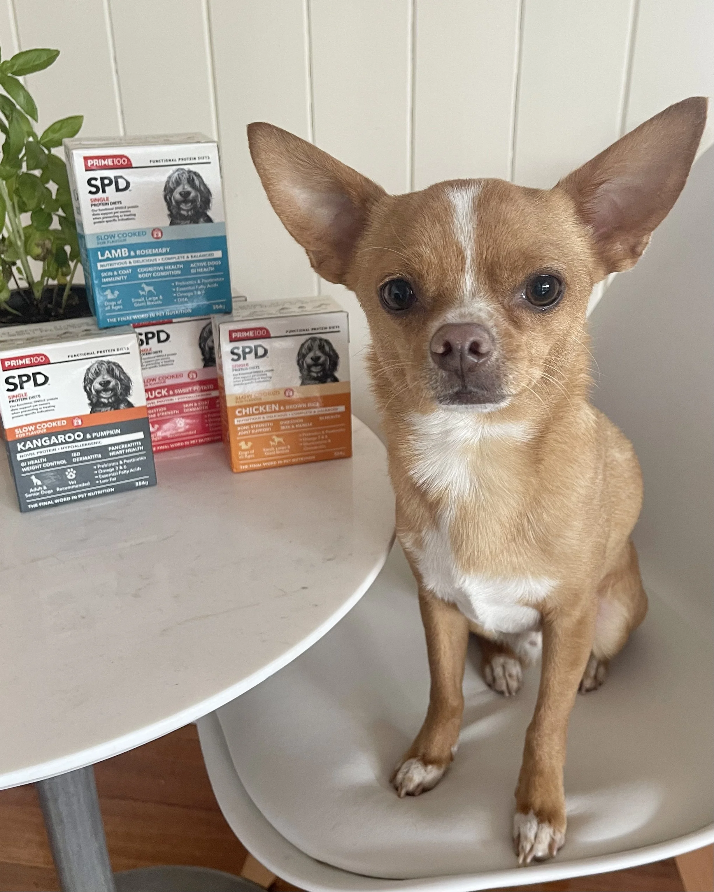 Prime 100 Slow Cooked Campaign