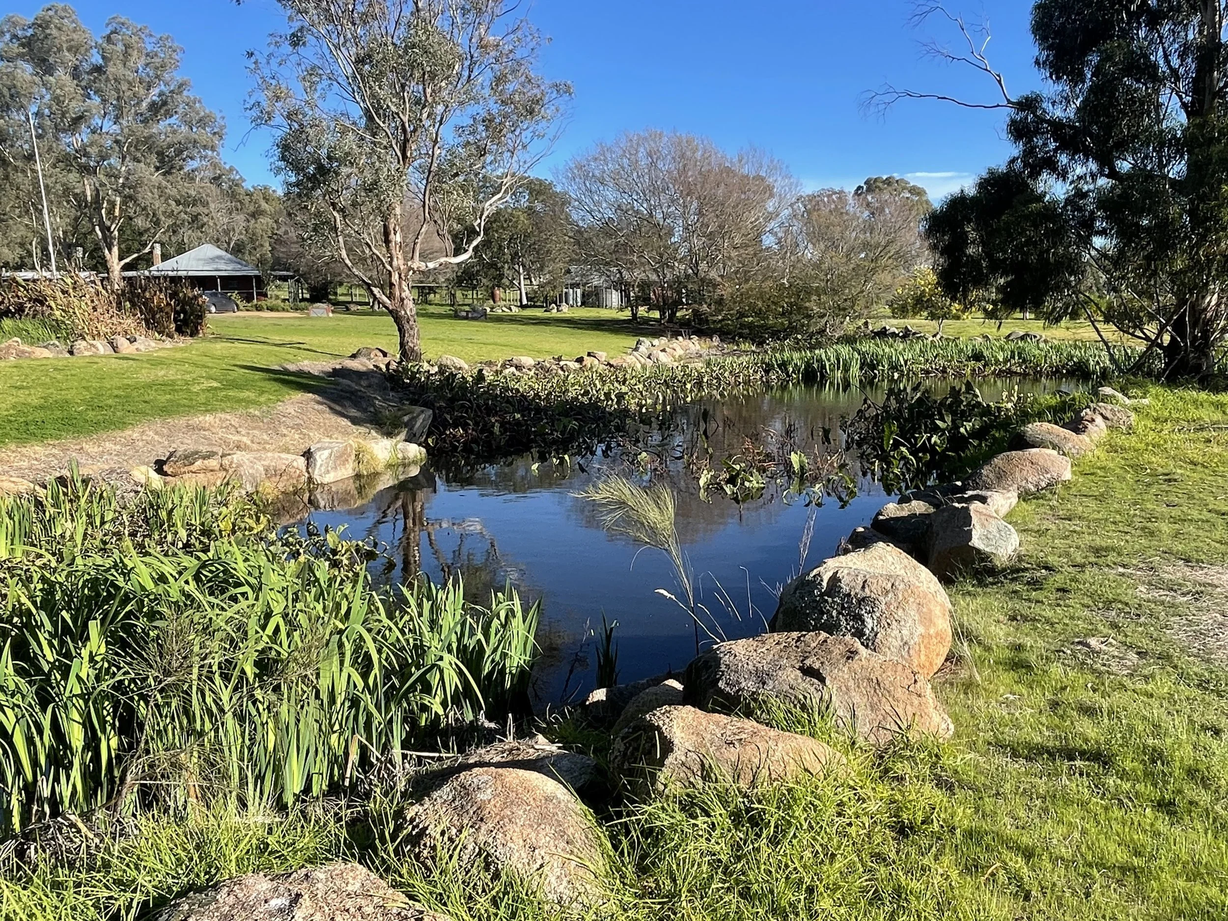 Sustainable Landscape Soltuions