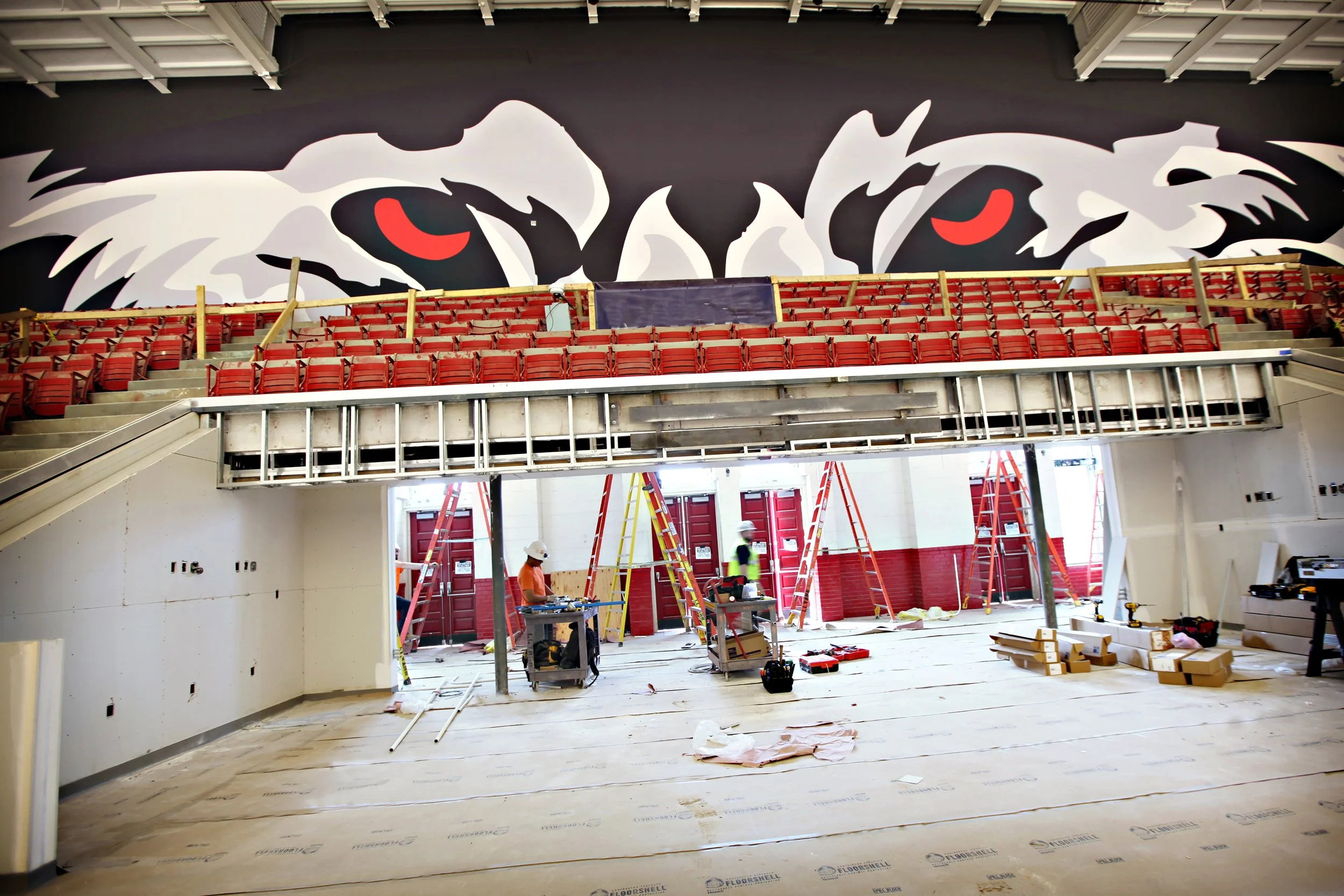 Photography - Trimaco