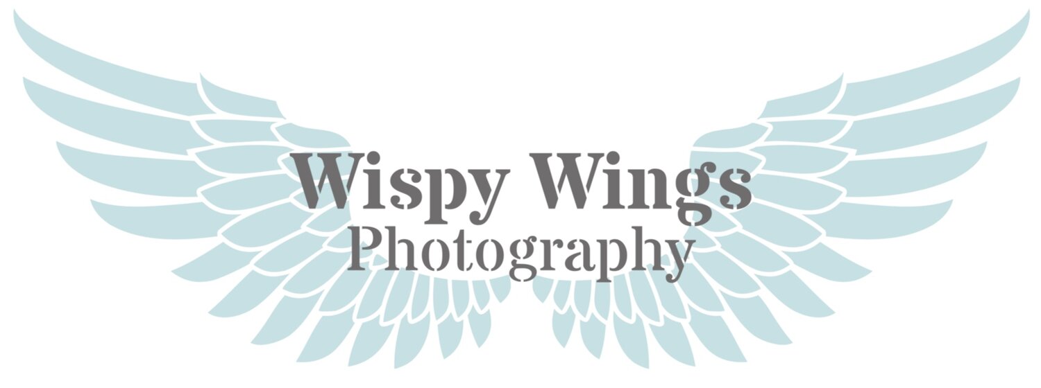 Wispy Wings Photography