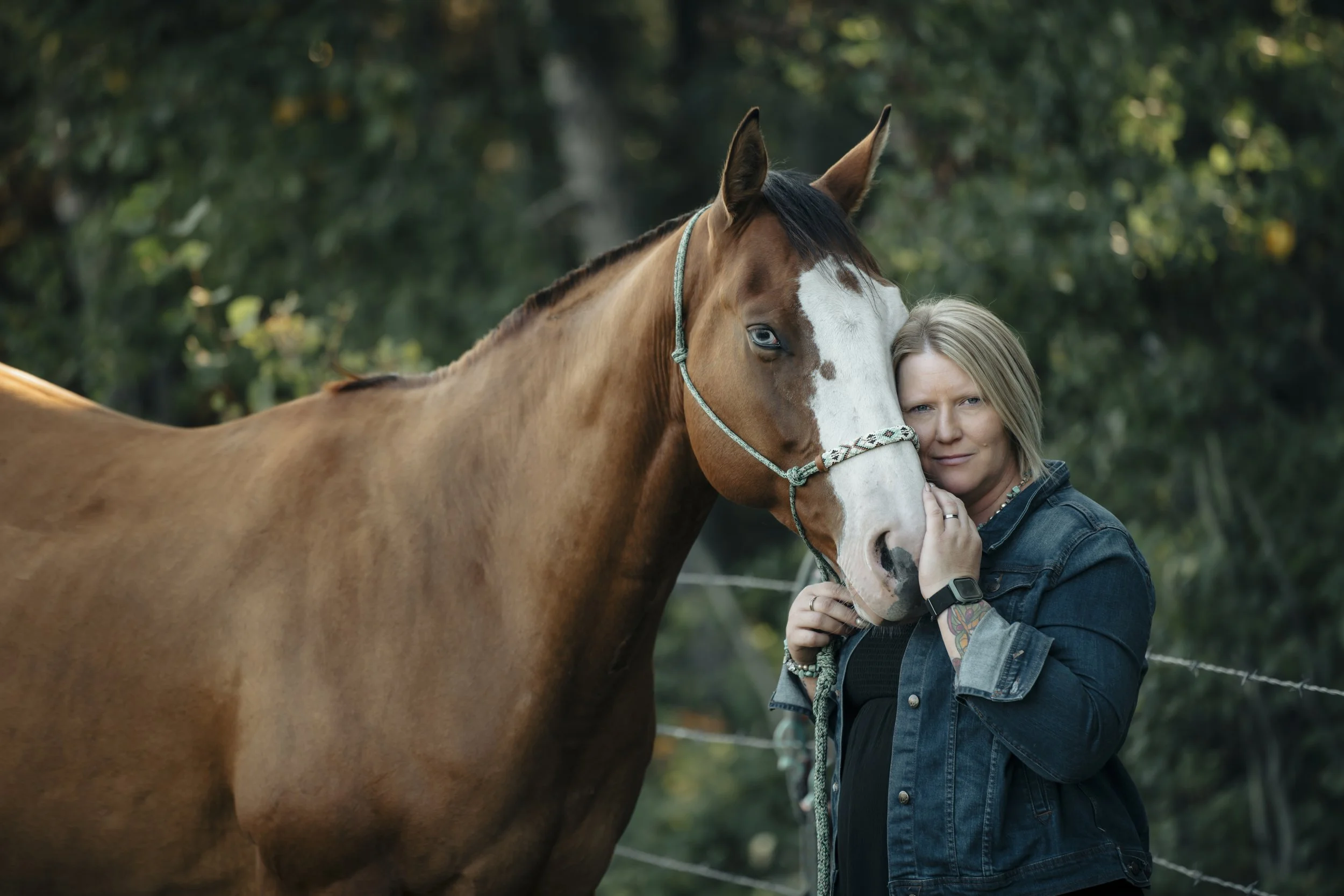 Alberta Horse Photography