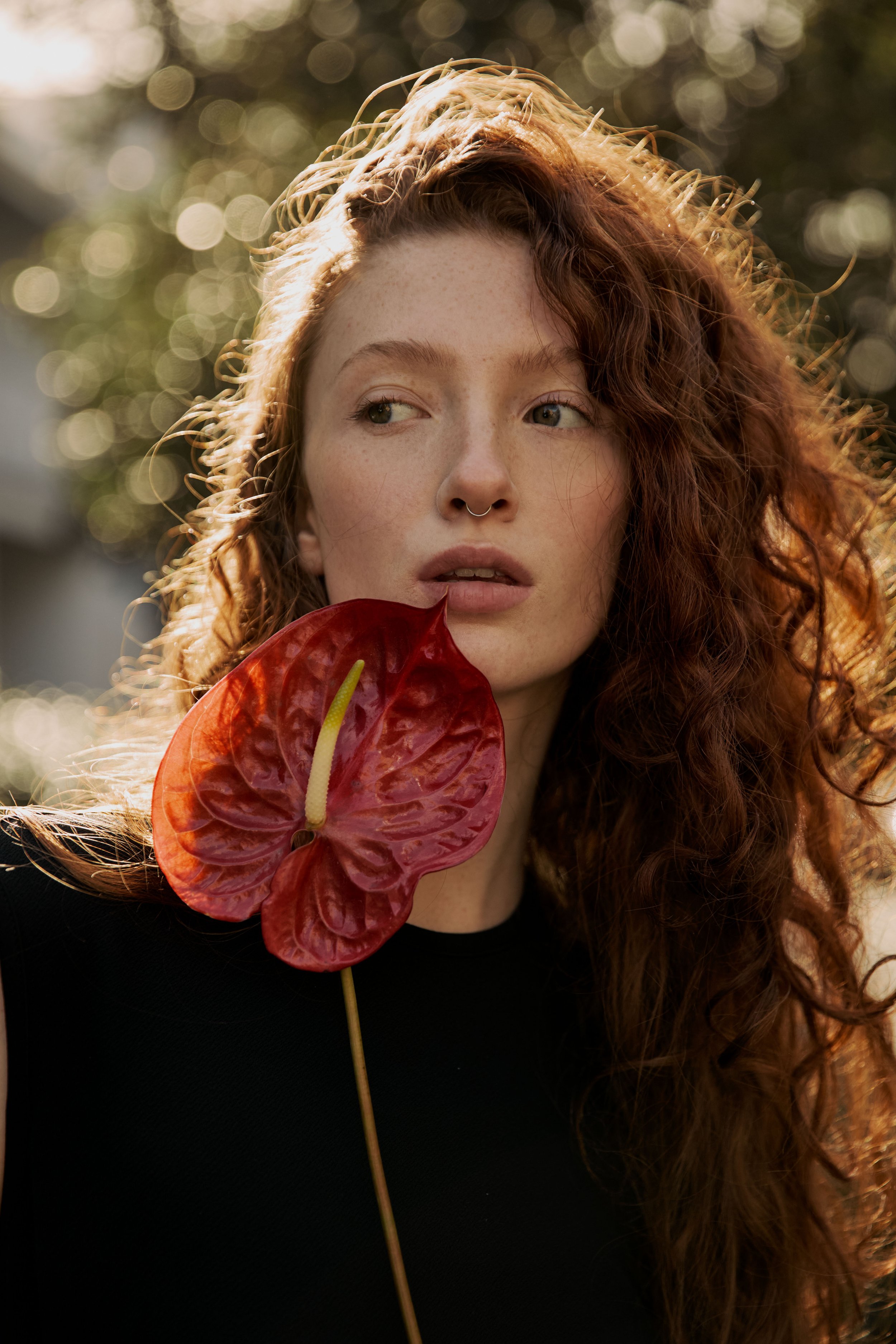Fashion photography by Maddi Knight of a woman with long, curly red hair and light skin, holding a red anthurium flower close to her face, with a blurred outdoor background and bokeh light effects.