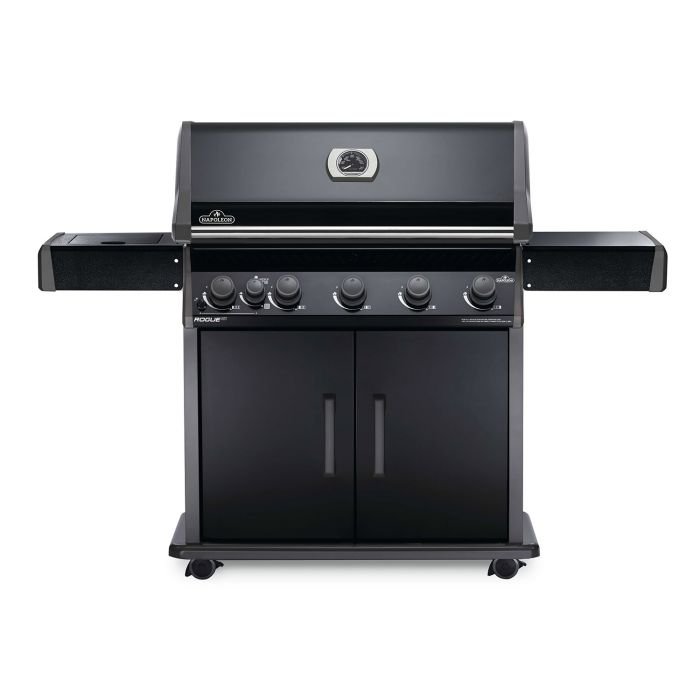 Erfenis Kardinaal Aanhoudend Napoleon RXT625SIBK Rogue XT 625 Black Gas Grill on Cart with Infrared Side  Burner, 34.75-Inches — The BBQ Element
