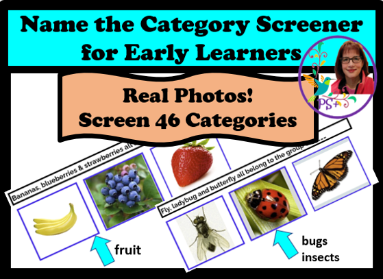 Educational poster titled 'Name the Category Screener for Early Learners' promoting real photos of items categorized into fruit, bugs, and insects, with images of a banana, berries, and a ladybug.