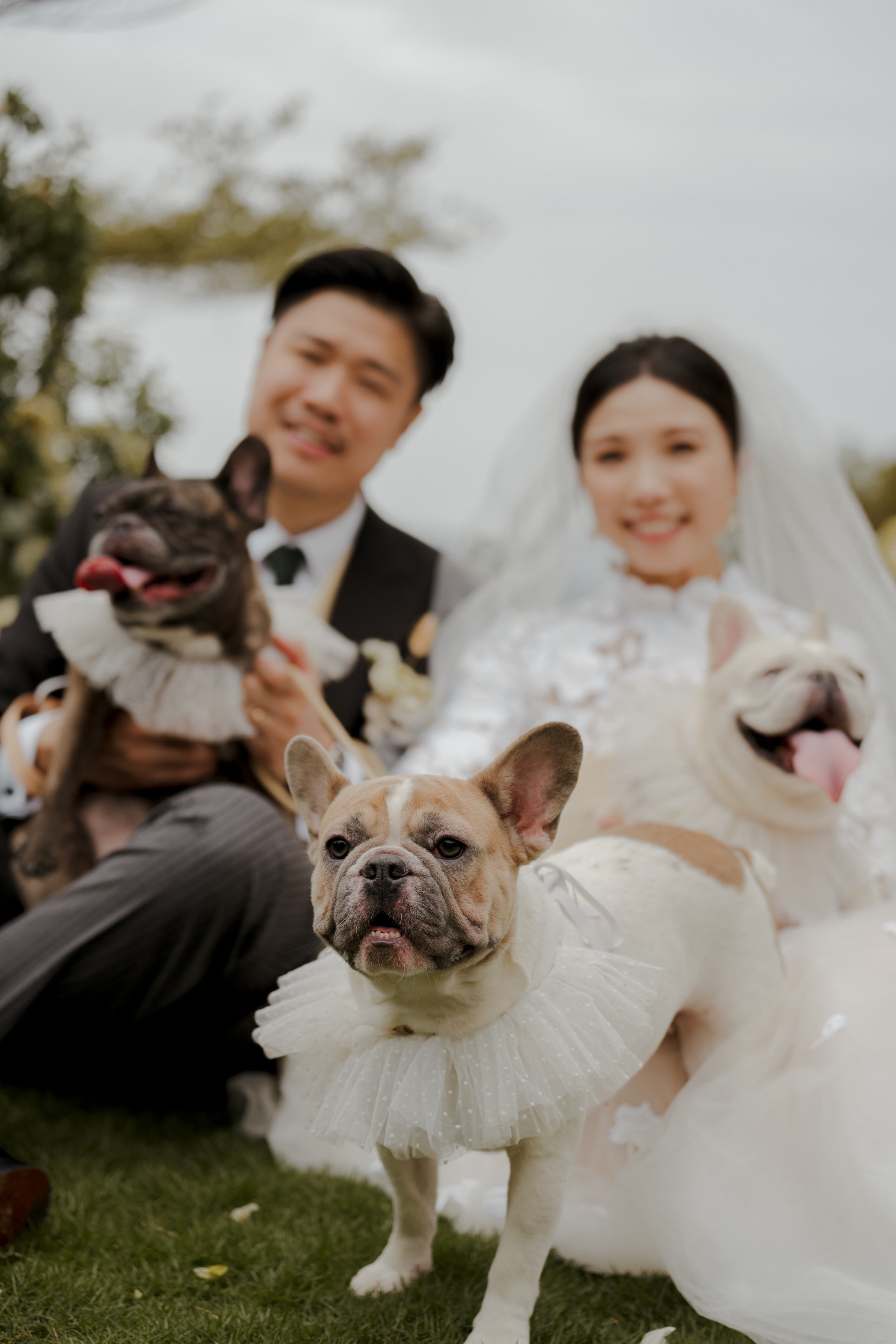 Daniella & Victor-141.jpg