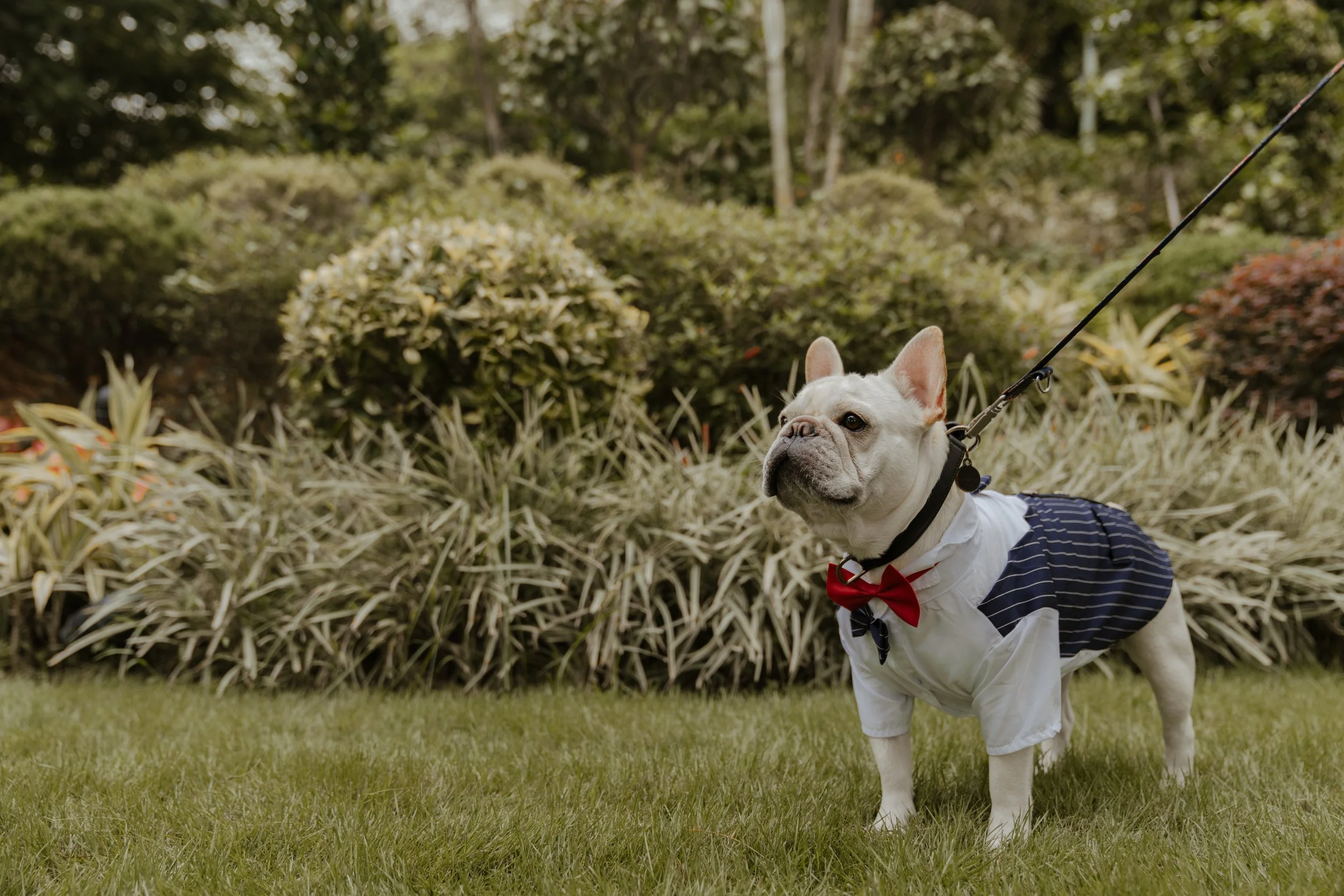 Cellia & Luke-293.jpg