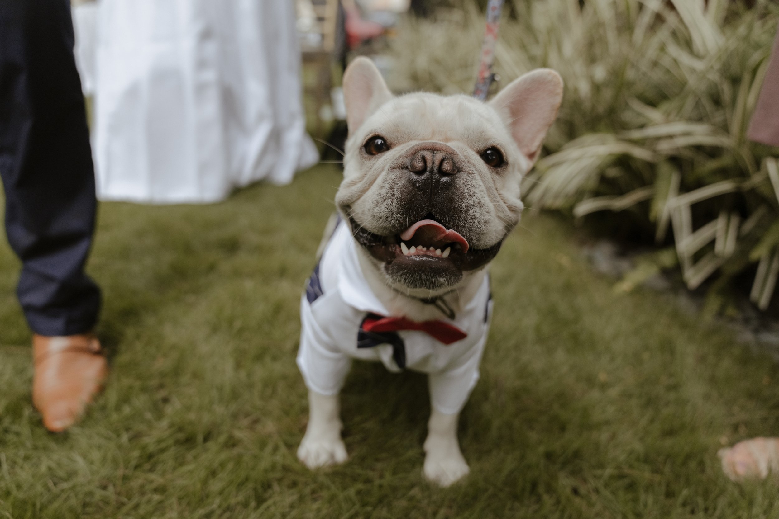 Cellia & Luke-499.jpg