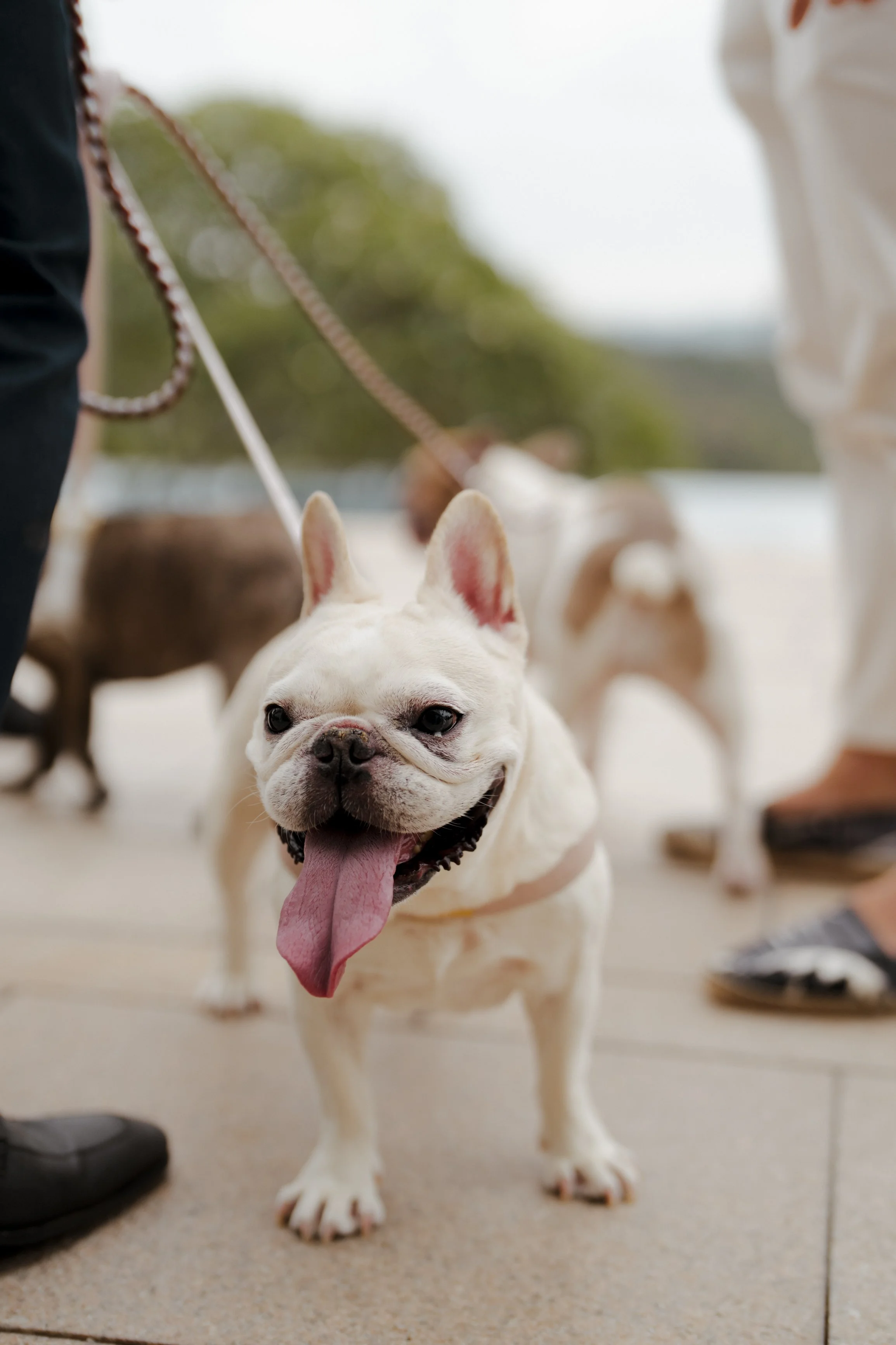 Daniella & Victor-7.jpg