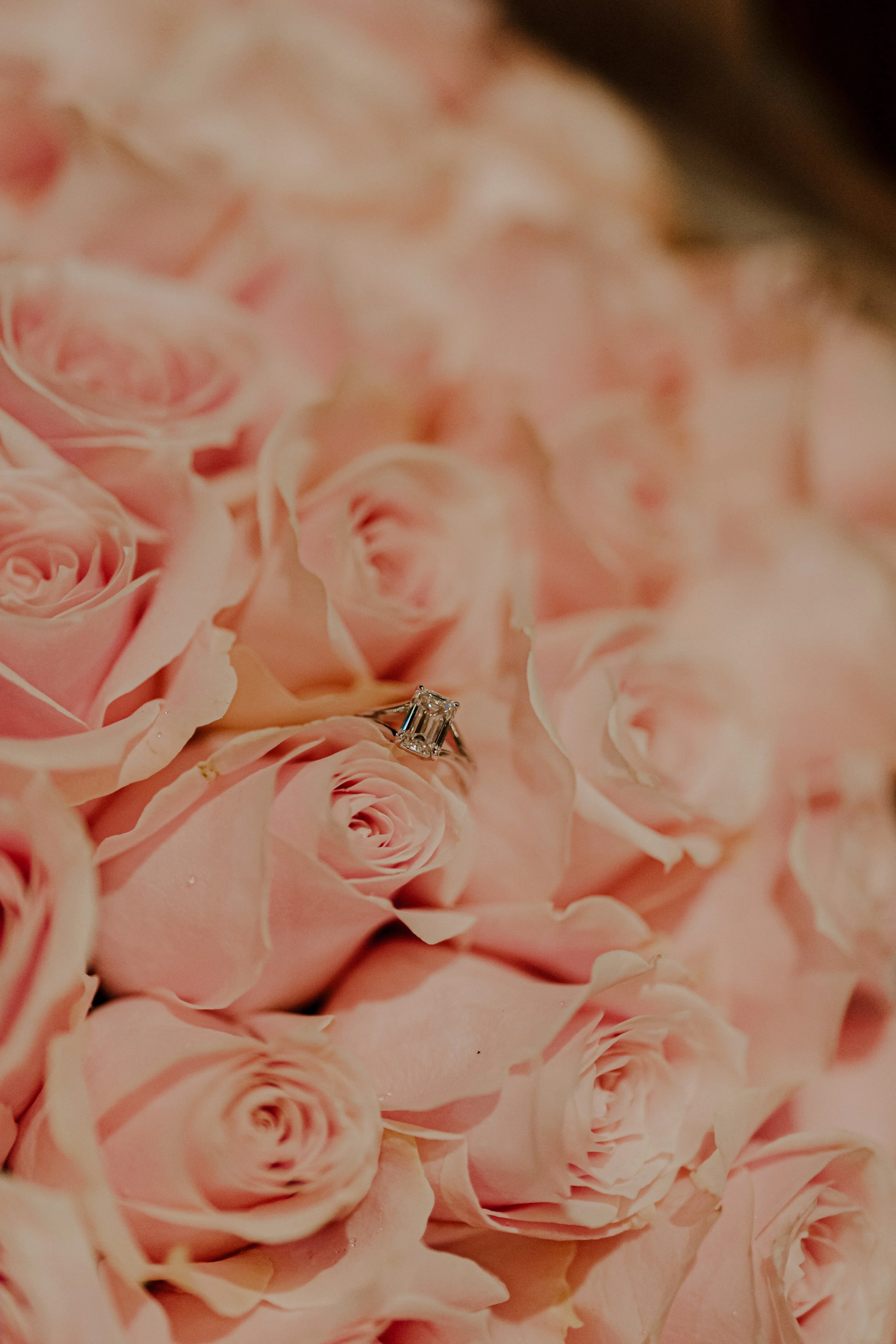 20210827_Tiffany & Eric_proposal-76.jpg