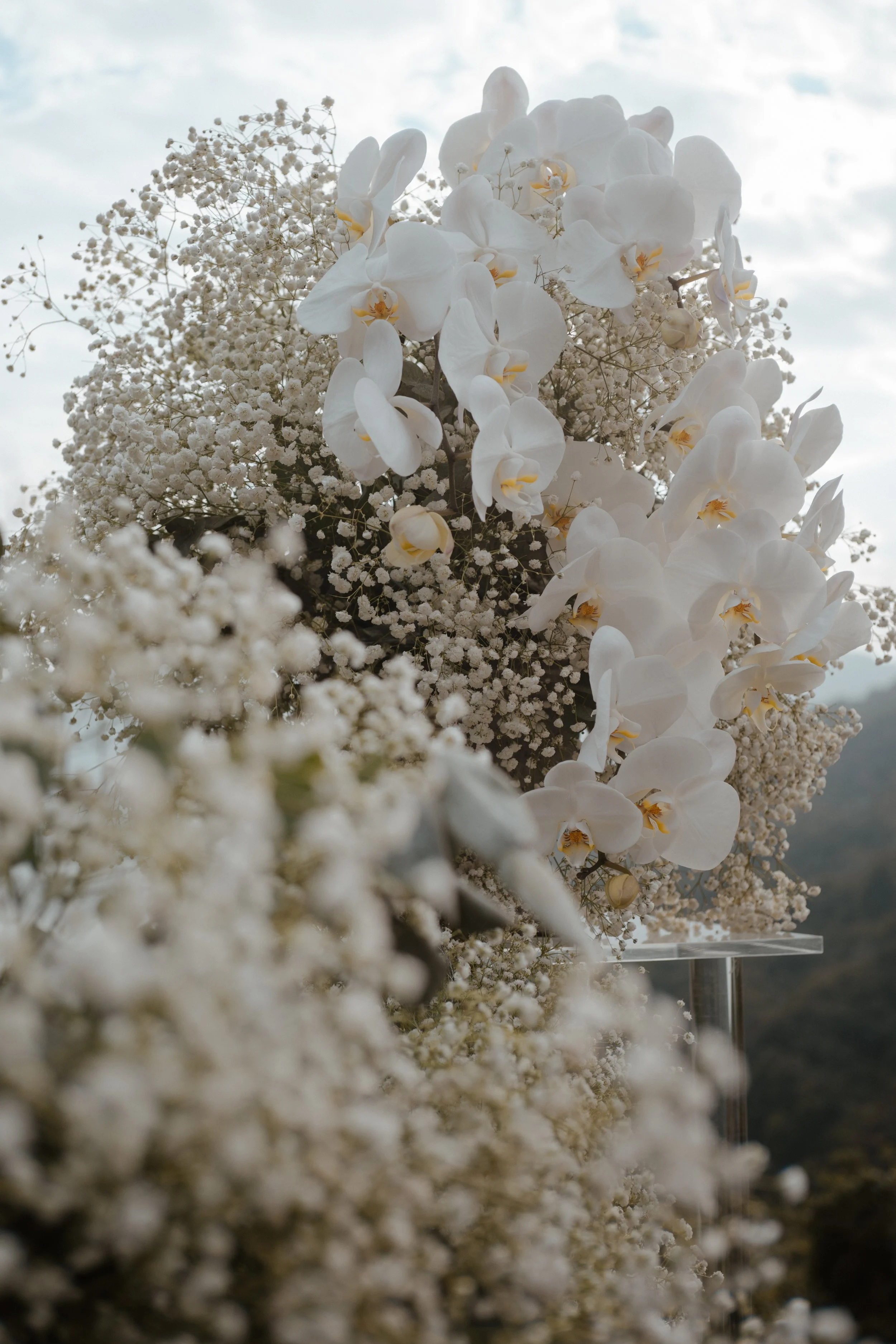 WEDHL_20220101_Tiffany & Eric-57.jpg